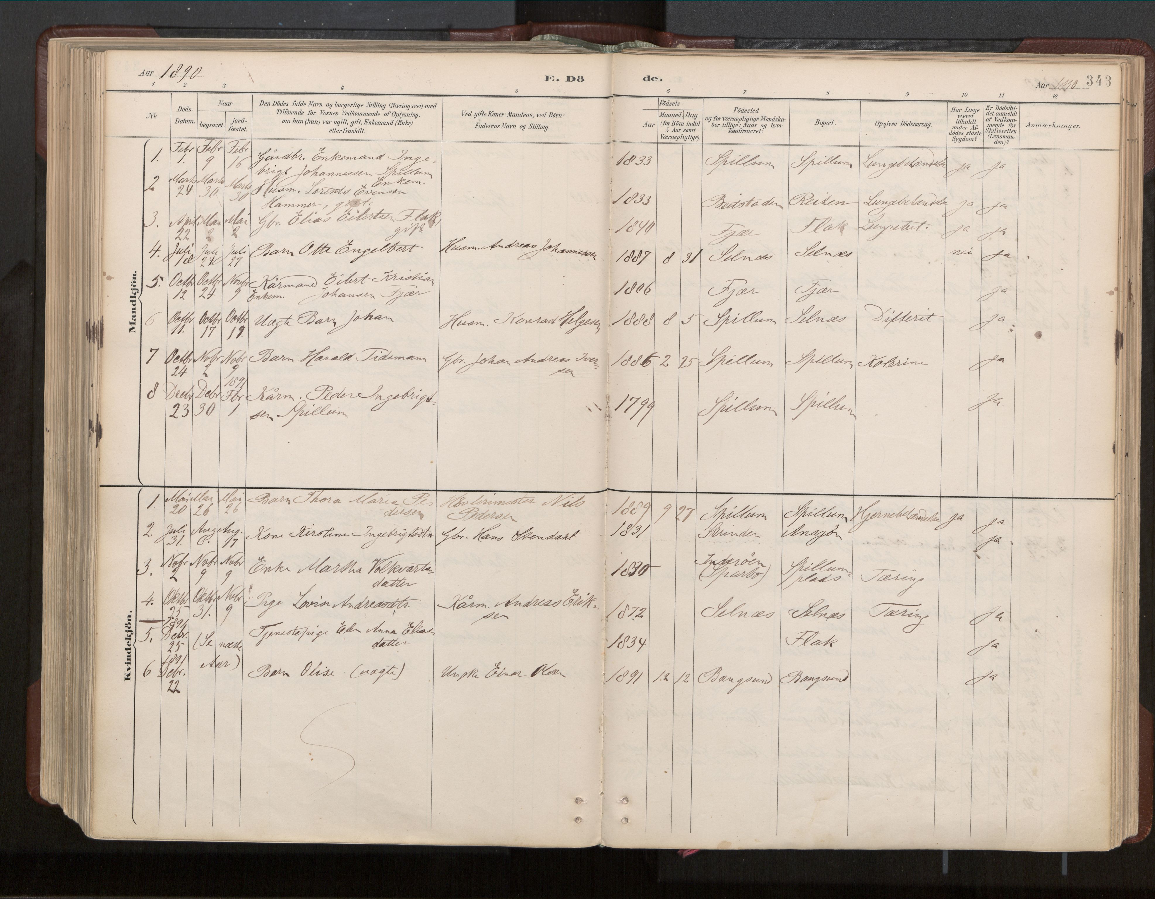 Ministerialprotokoller, klokkerbøker og fødselsregistre - Nord-Trøndelag, AV/SAT-A-1458/770/L0589: Ministerialbok nr. 770A03, 1887-1929, s. 343