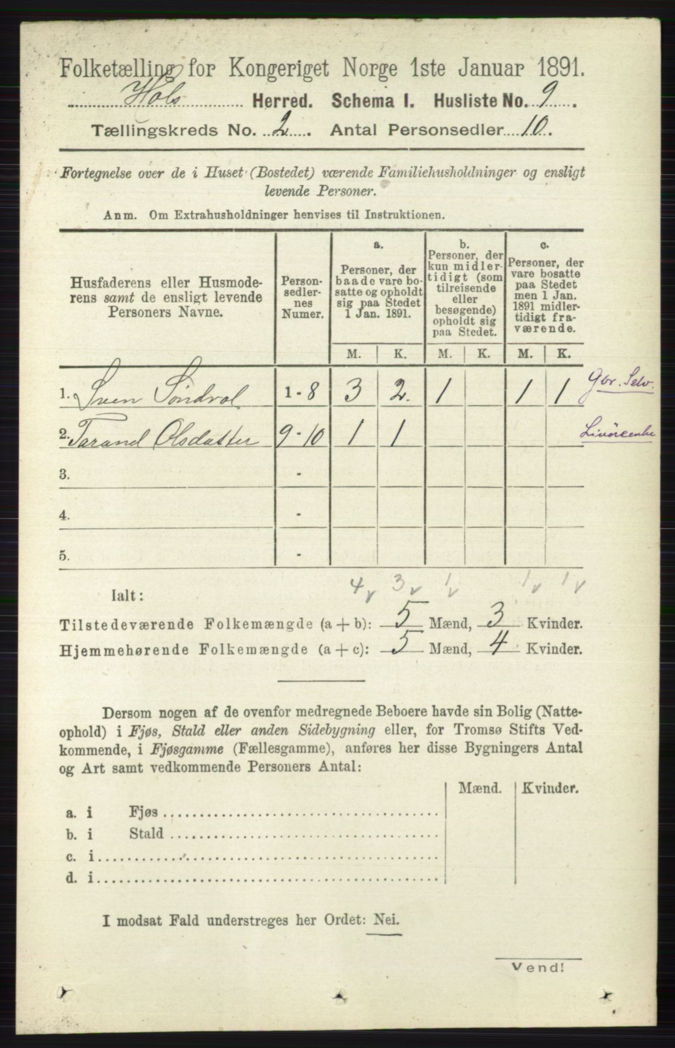 RA, Folketelling 1891 for 0620 Hol herred, 1891, s. 291