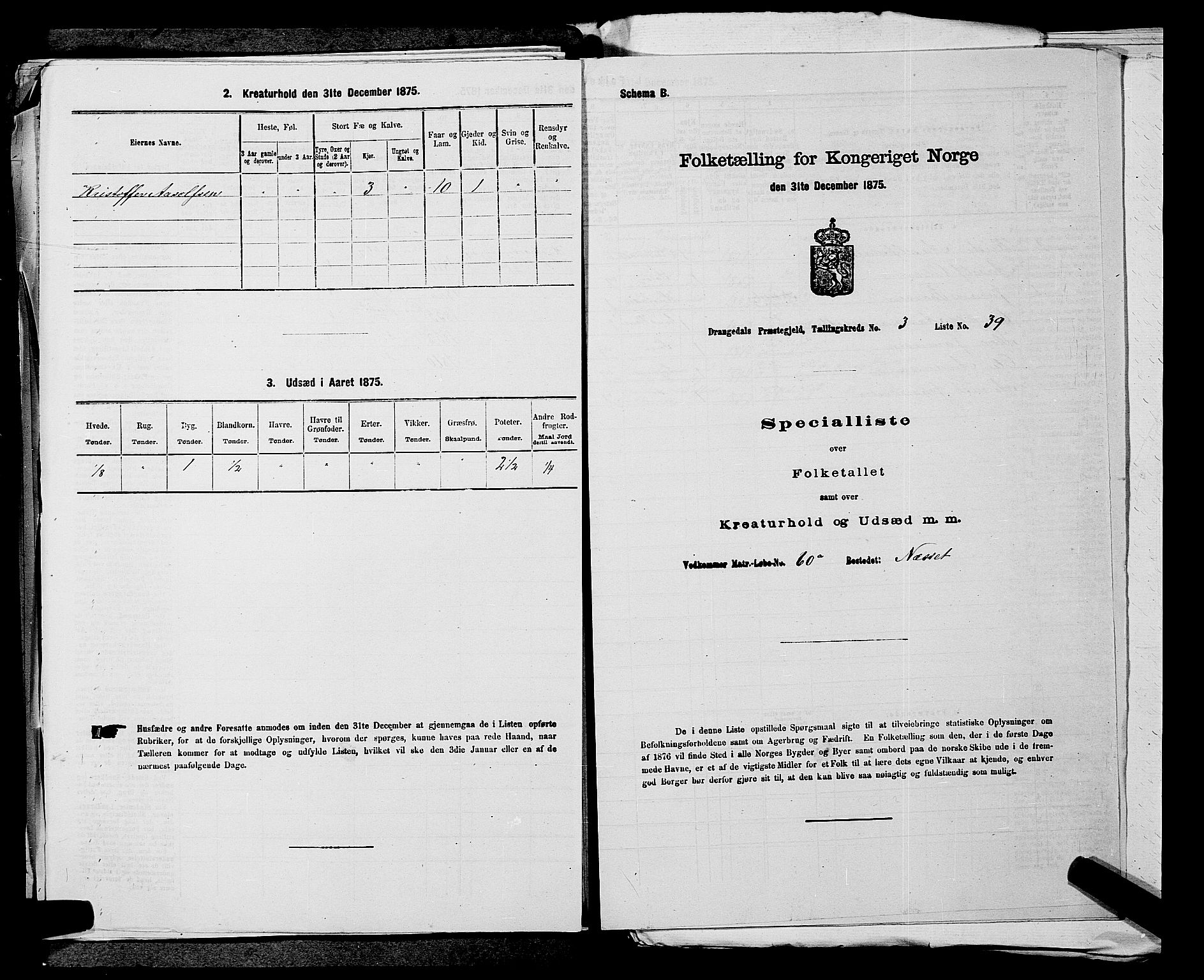 SAKO, Folketelling 1875 for 0817P Drangedal prestegjeld, 1875, s. 407