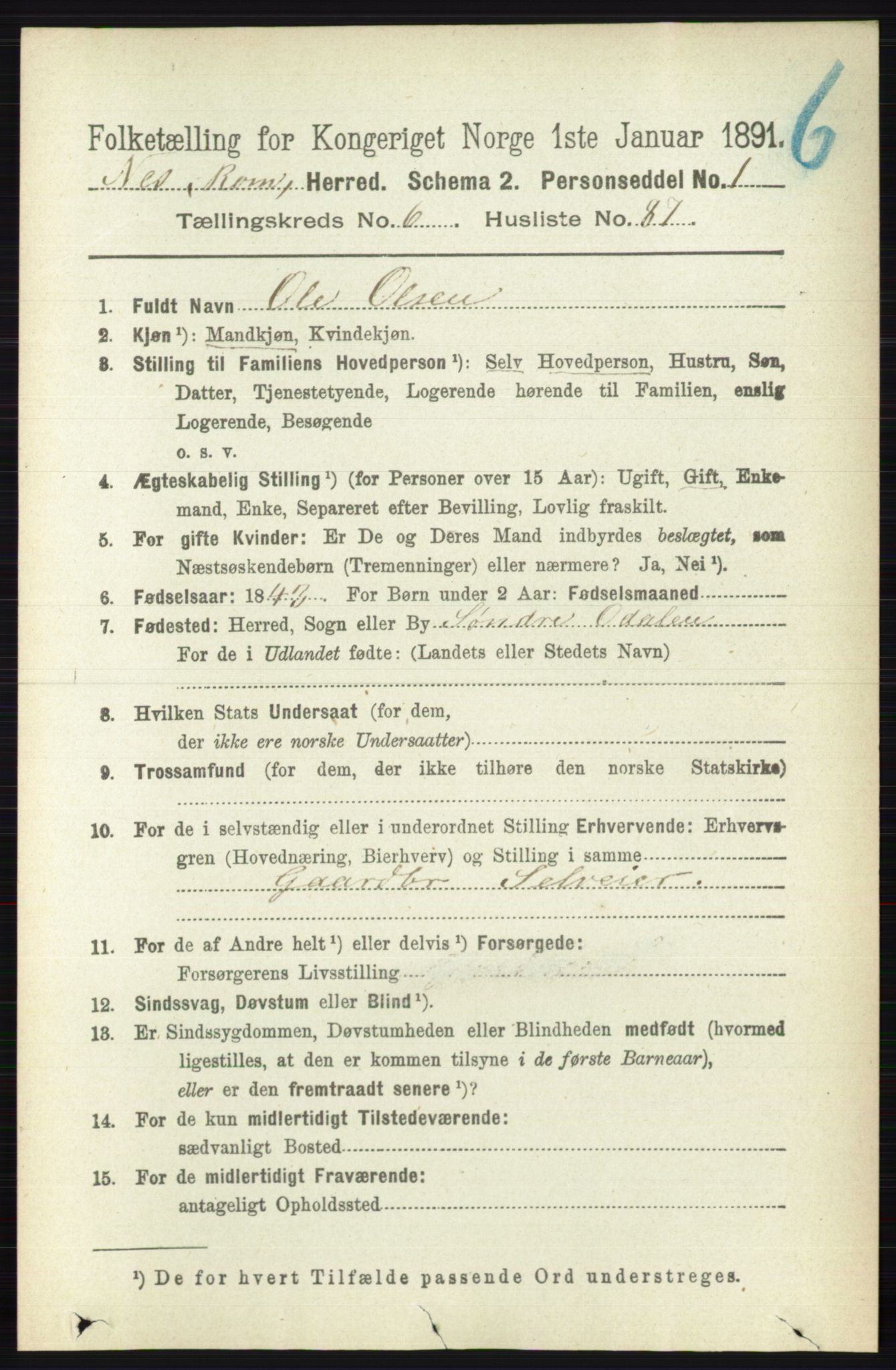 RA, Folketelling 1891 for 0236 Nes herred, 1891, s. 3916