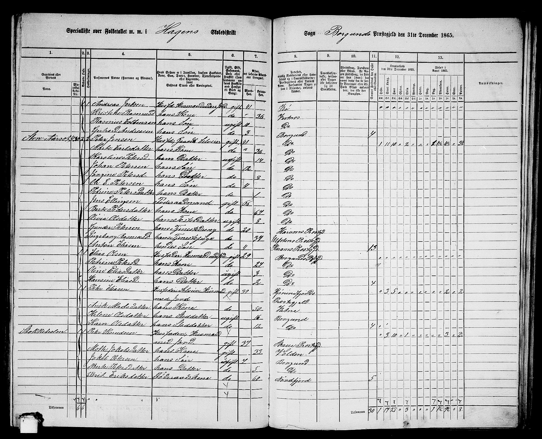RA, Folketelling 1865 for 1531P Borgund prestegjeld, 1865, s. 215