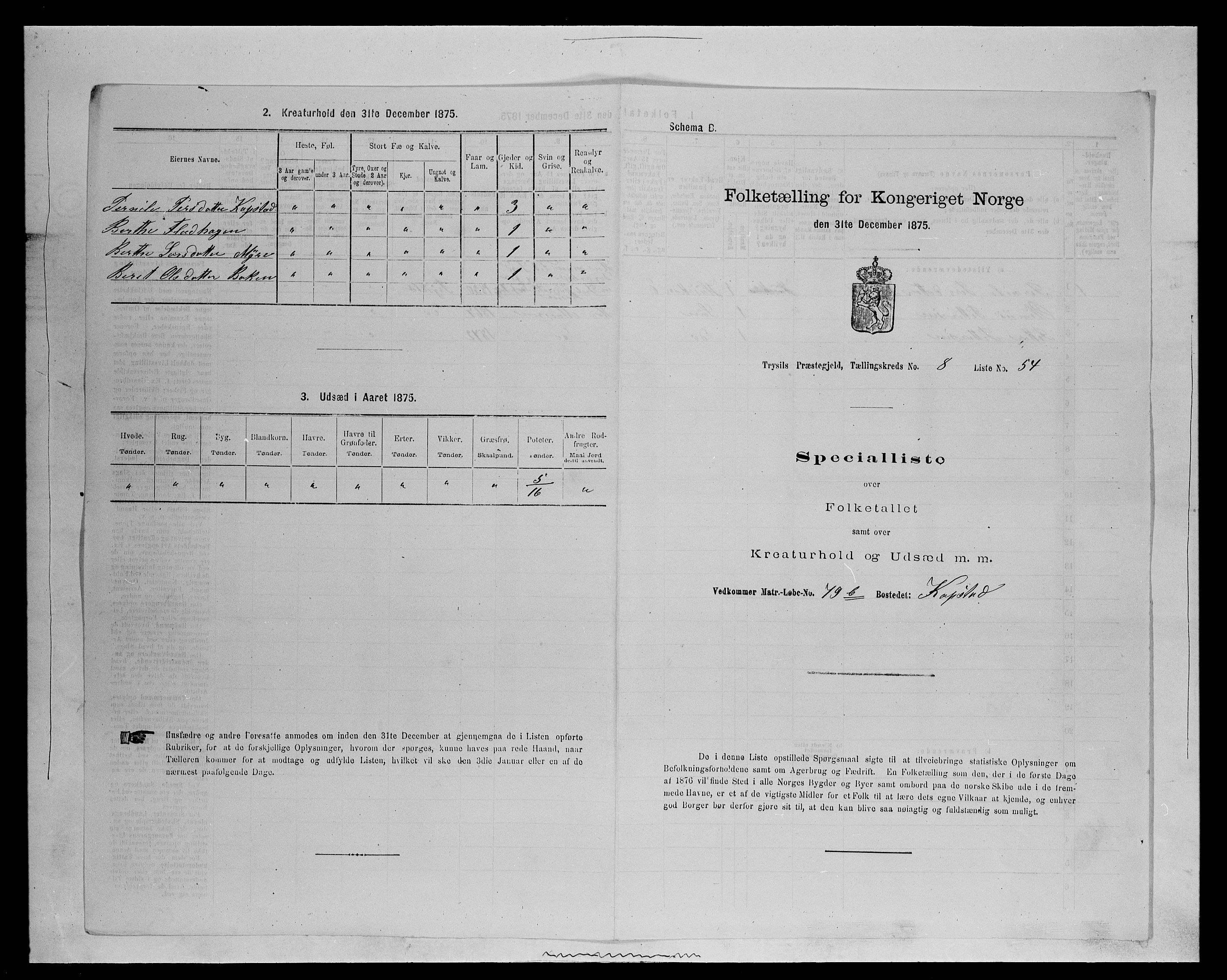 SAH, Folketelling 1875 for 0428P Trysil prestegjeld, 1875, s. 1062