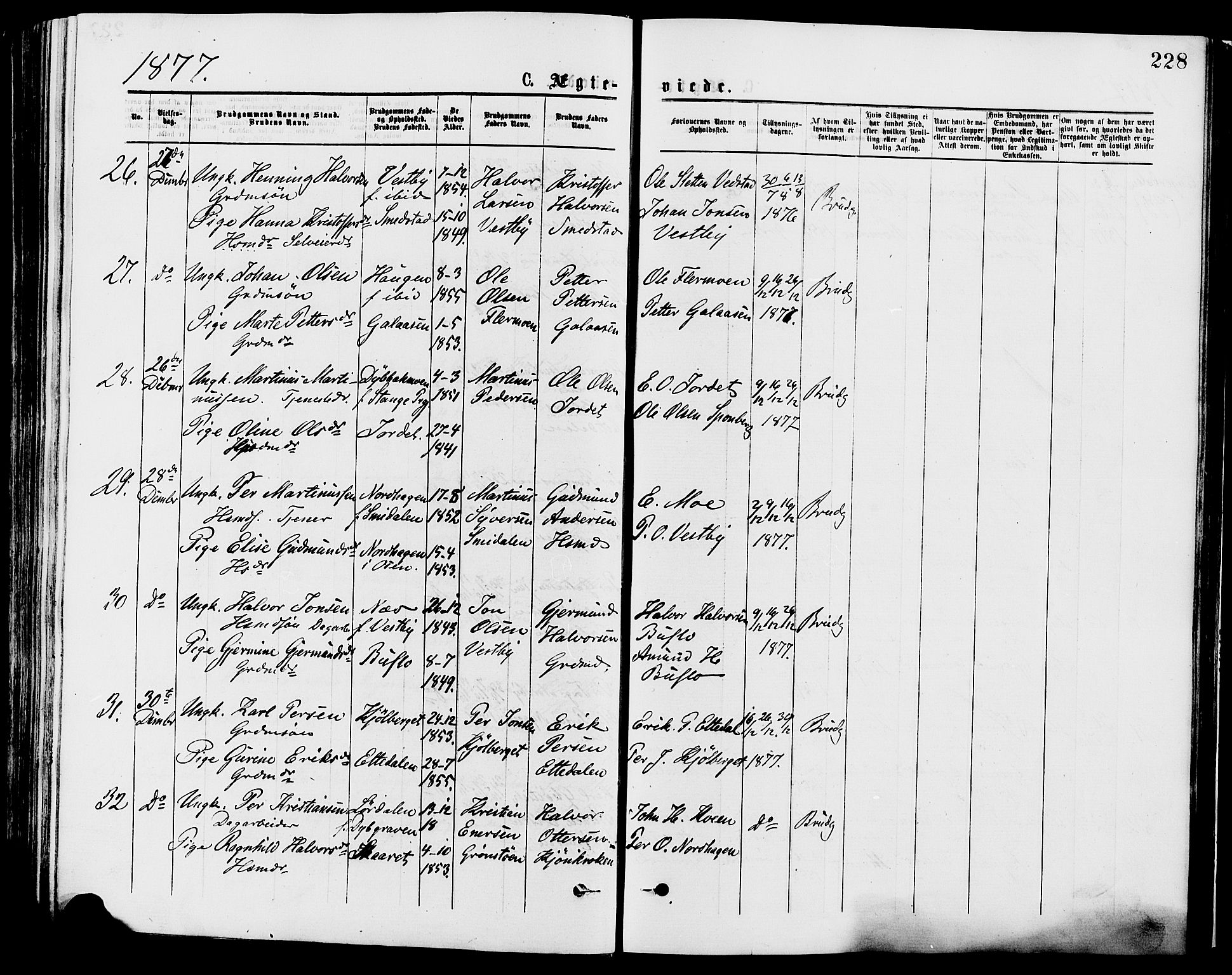 Trysil prestekontor, AV/SAH-PREST-046/H/Ha/Haa/L0007: Ministerialbok nr. 7, 1874-1880, s. 228