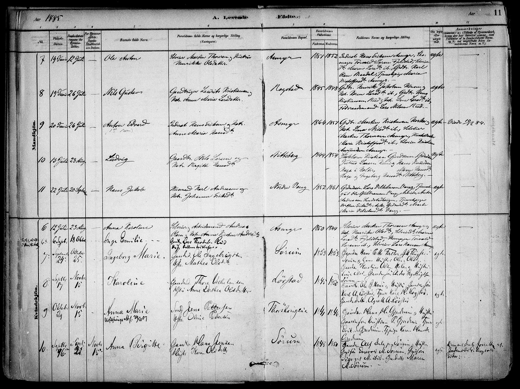 Gjerdrum prestekontor Kirkebøker, AV/SAO-A-10412b/F/Fa/L0009: Ministerialbok nr. I 9, 1881-1916, s. 11