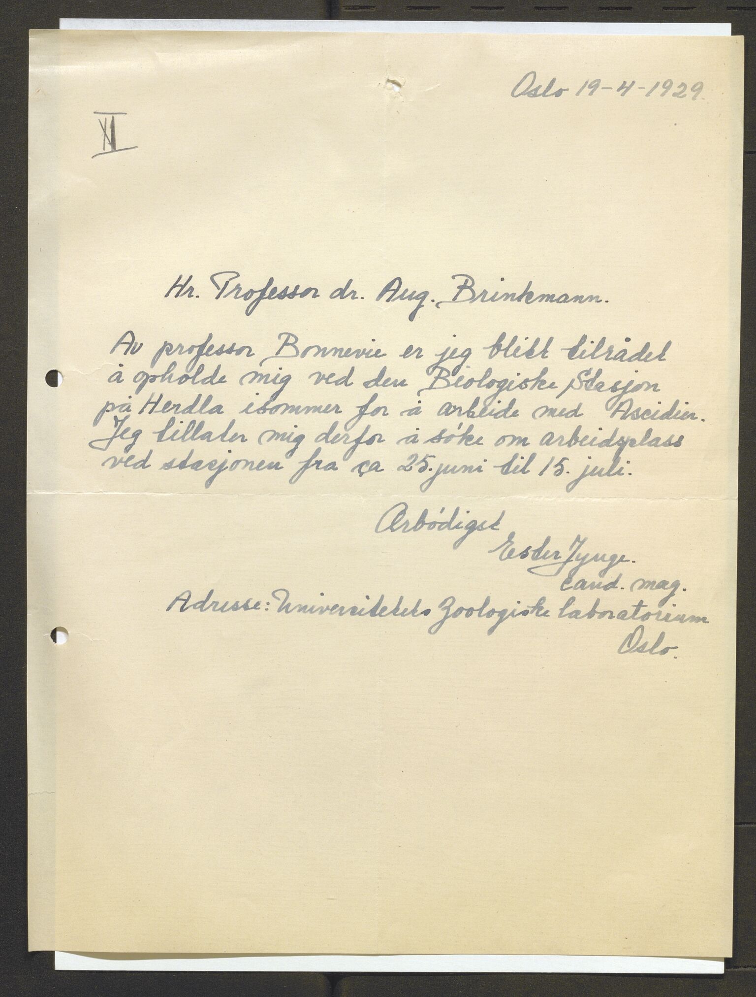 Bergens Museum, AV/SAB-A-17301/13/D/L0002: Korrespondanse , 1928-1940, s. 123