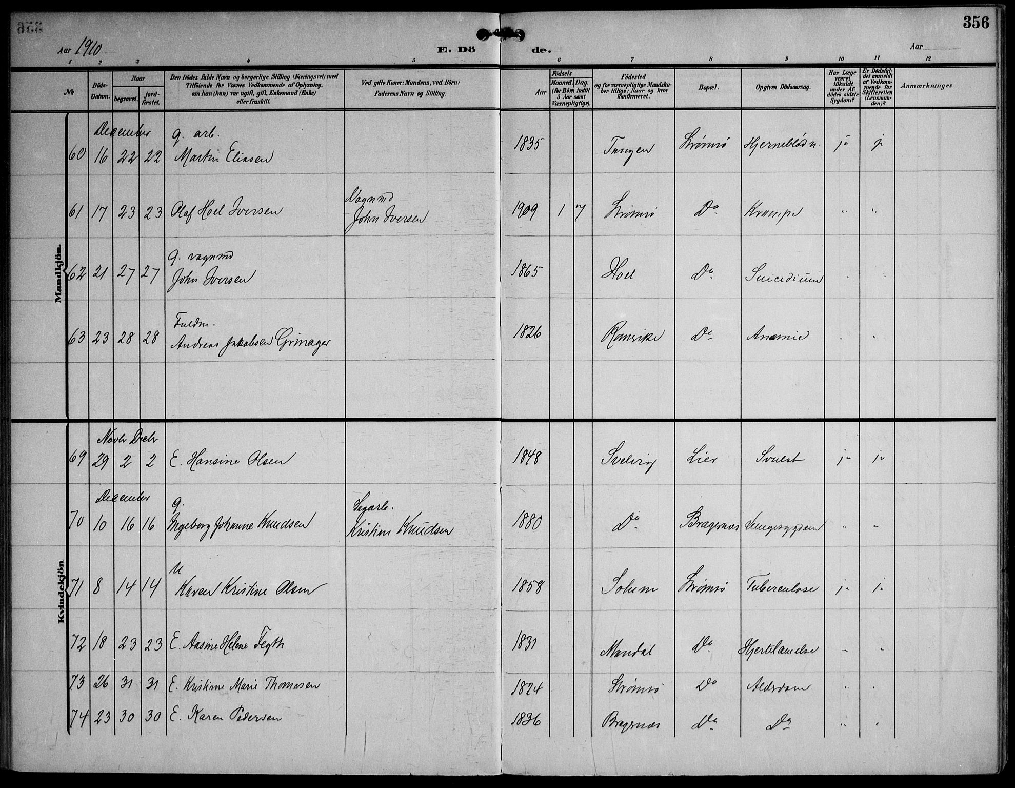 Strømsø kirkebøker, AV/SAKO-A-246/F/Fa/L0026: Ministerialbok nr. I 26, 1905-1914, s. 356