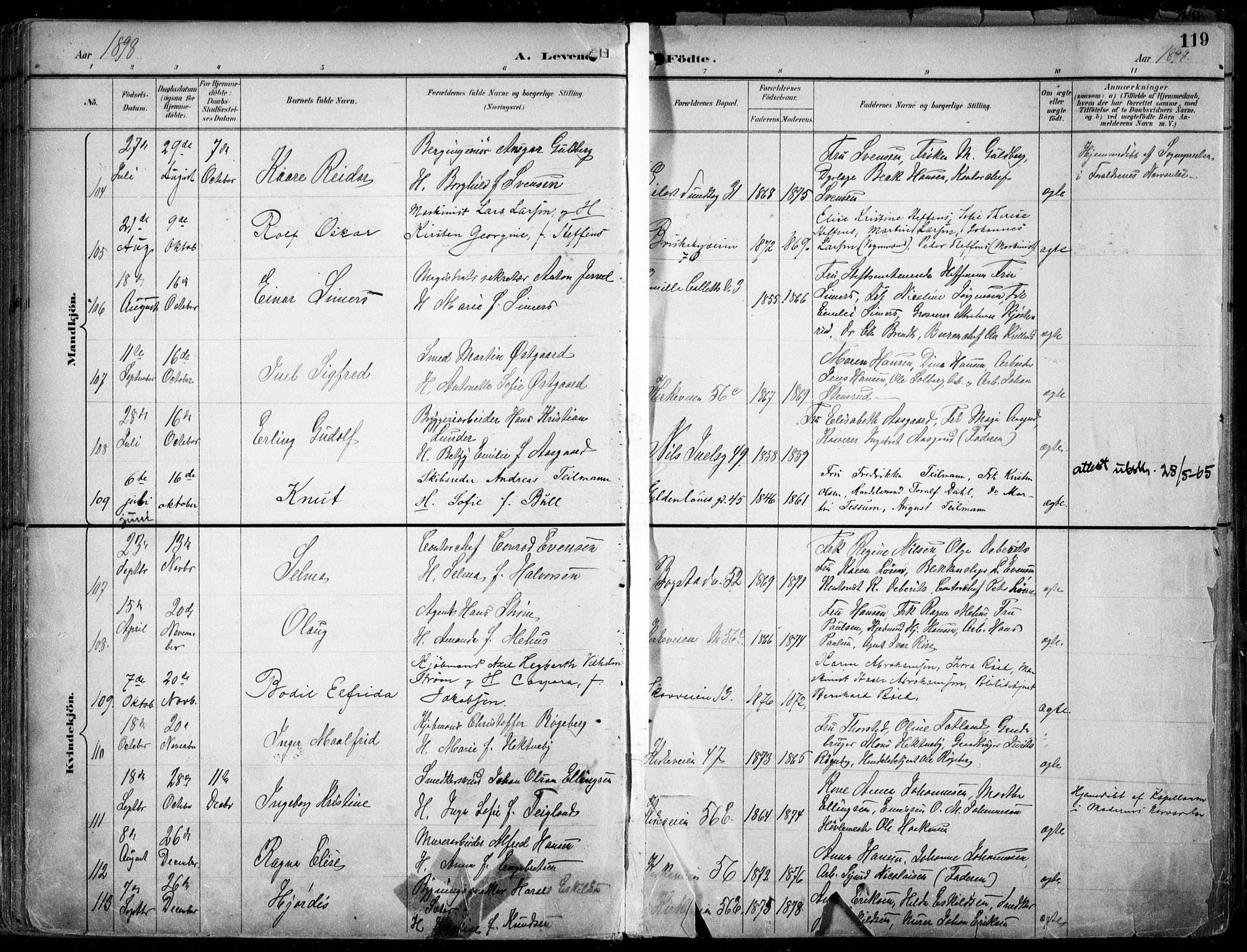 Uranienborg prestekontor Kirkebøker, AV/SAO-A-10877/F/Fa/L0005: Ministerialbok nr. I 5, 1895-1907, s. 119