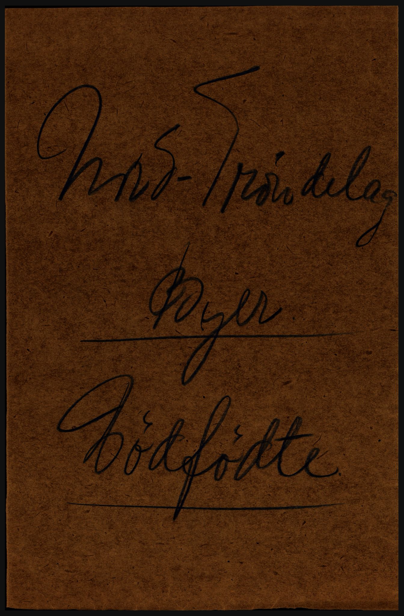 Statistisk sentralbyrå, Sosiodemografiske emner, Befolkning, AV/RA-S-2228/D/Df/Dfc/Dfci/L0035: Nord Trøndelag. Nordland, 1929, s. 251