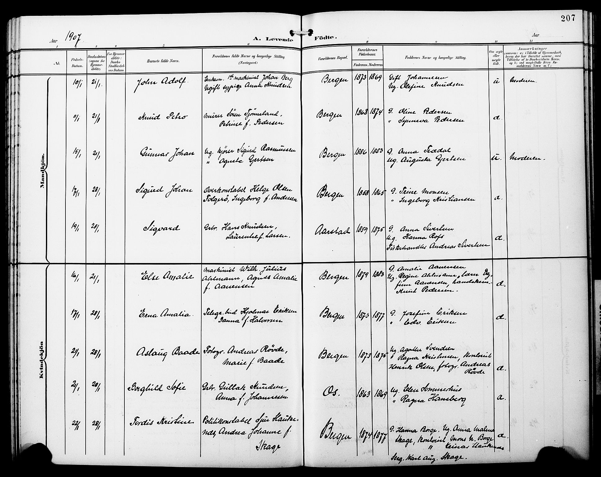 Fødselsstiftelsens sokneprestembete*, SAB/-: Klokkerbok nr. A 1, 1900-1909, s. 207