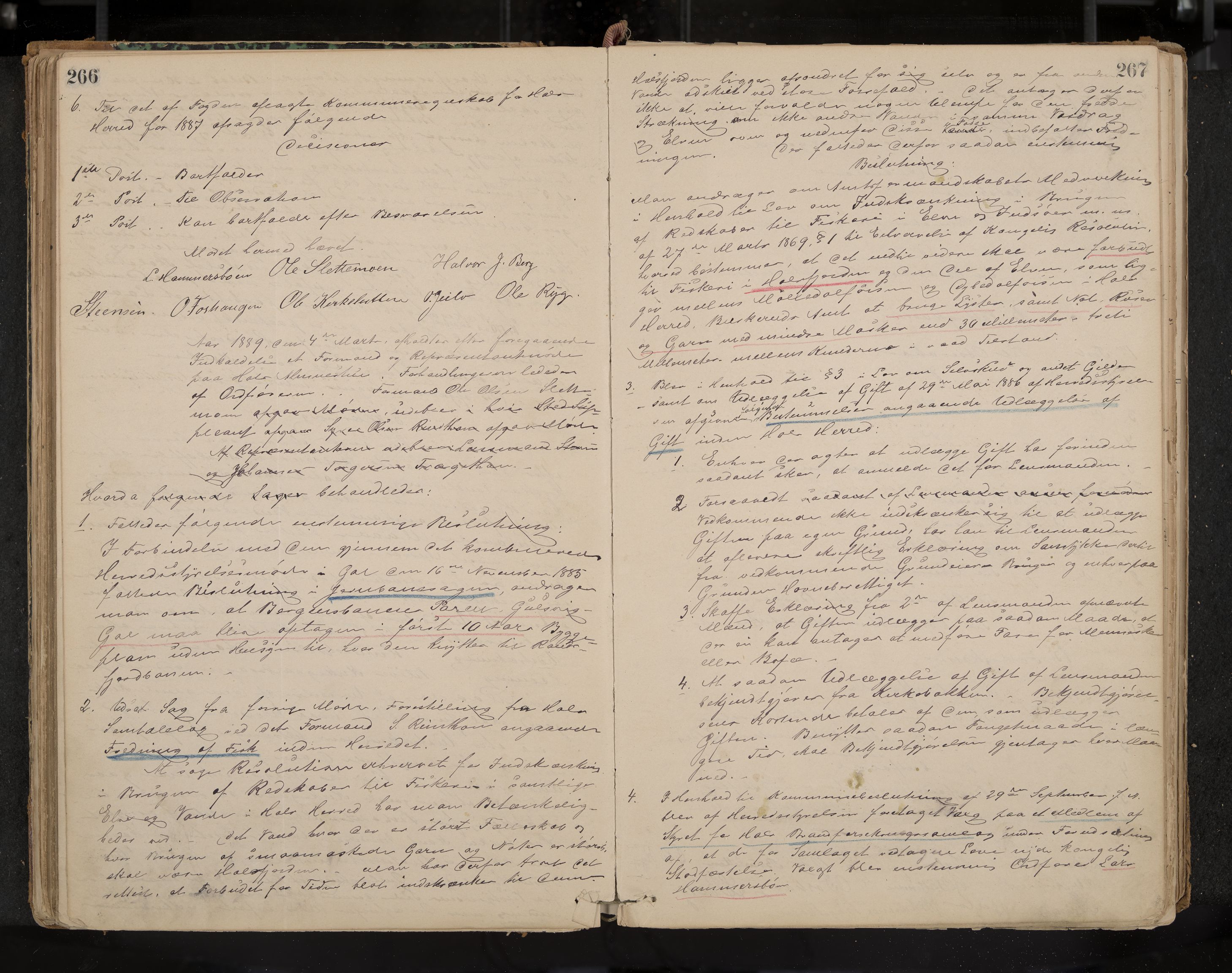 Hol formannskap og sentraladministrasjon, IKAK/0620021-1/A/L0001: Møtebok, 1877-1893, s. 266-267