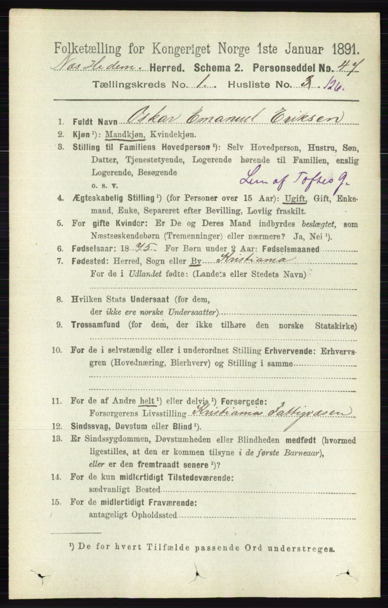 RA, Folketelling 1891 for 0411 Nes herred, 1891, s. 954