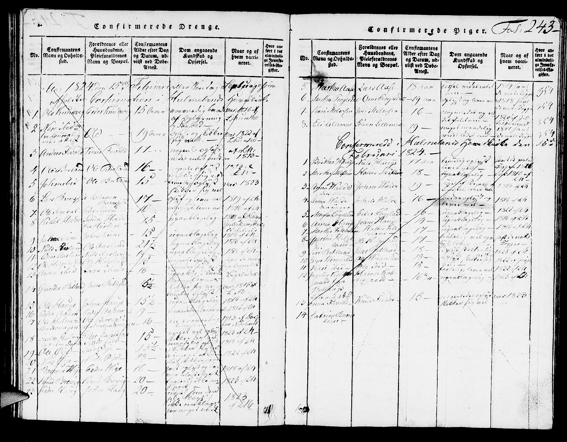 Hjelmeland sokneprestkontor, SAST/A-101843/01/V/L0002: Klokkerbok nr. B 2, 1816-1841, s. 243