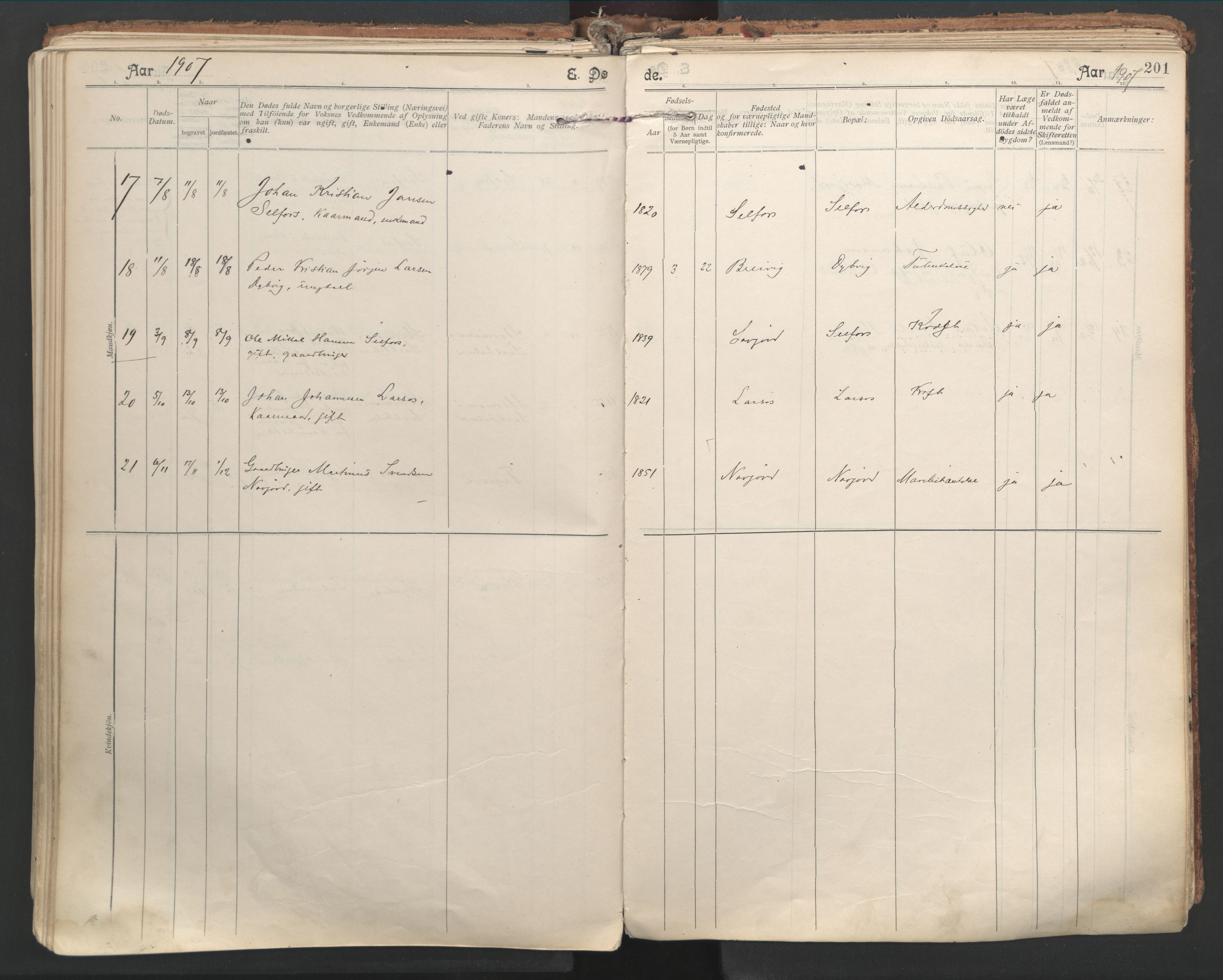 Ministerialprotokoller, klokkerbøker og fødselsregistre - Nordland, AV/SAT-A-1459/846/L0647: Ministerialbok nr. 846A05, 1902-1915, s. 201