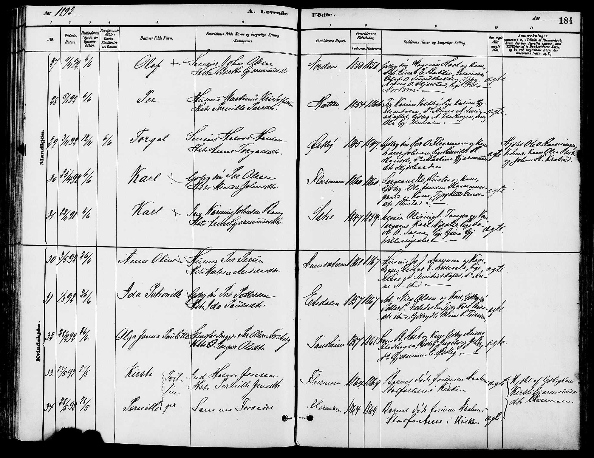 Trysil prestekontor, AV/SAH-PREST-046/H/Ha/Haa/L0008: Ministerialbok nr. 8, 1881-1897, s. 184