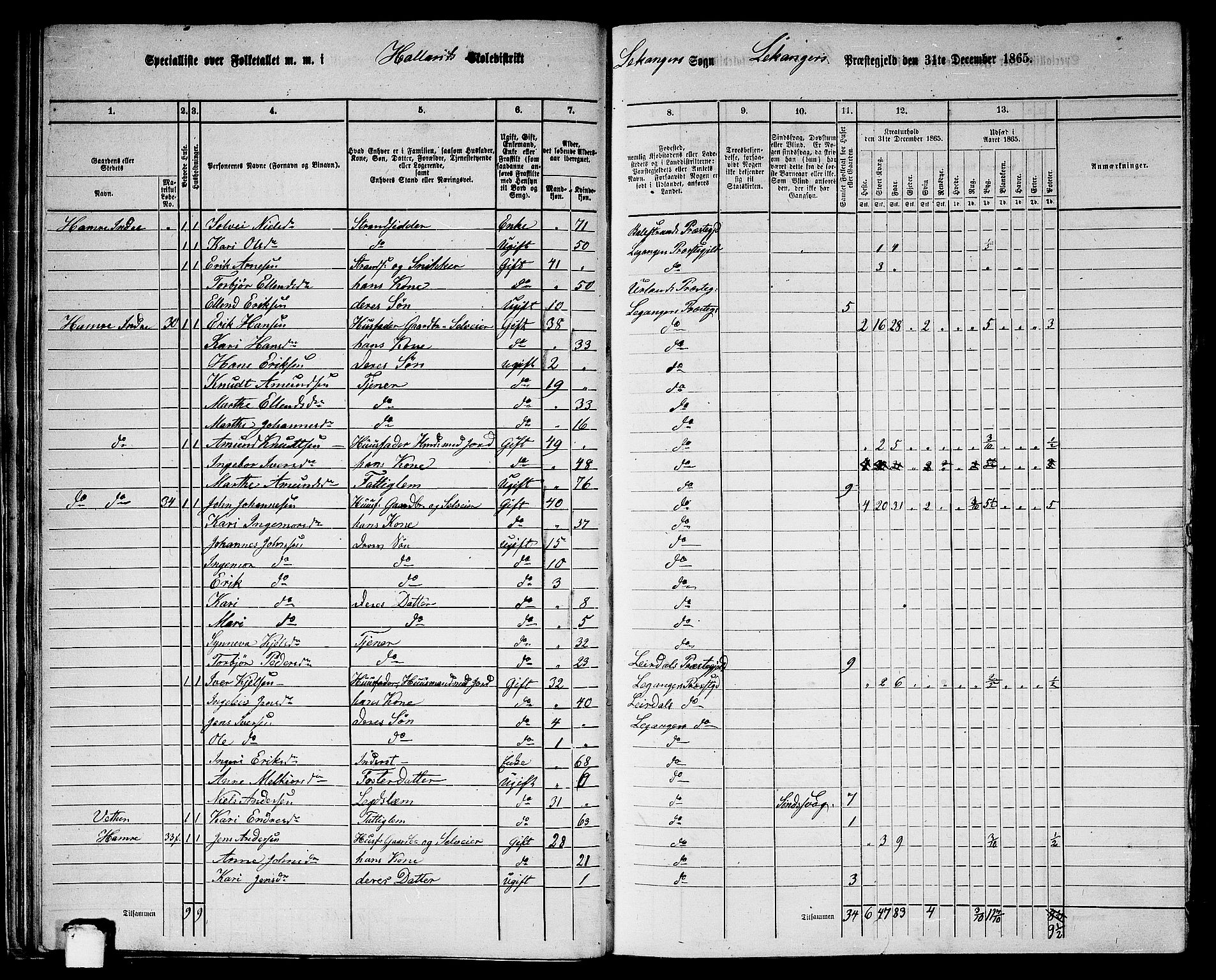 RA, Folketelling 1865 for 1419P Leikanger prestegjeld, 1865, s. 33