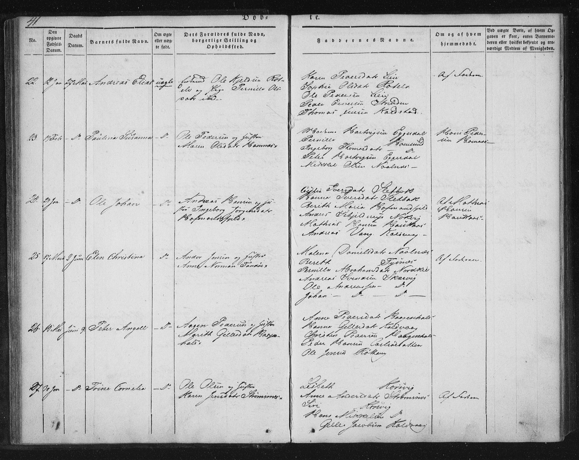 Ministerialprotokoller, klokkerbøker og fødselsregistre - Nordland, AV/SAT-A-1459/859/L0843: Ministerialbok nr. 859A03, 1840-1848, s. 41