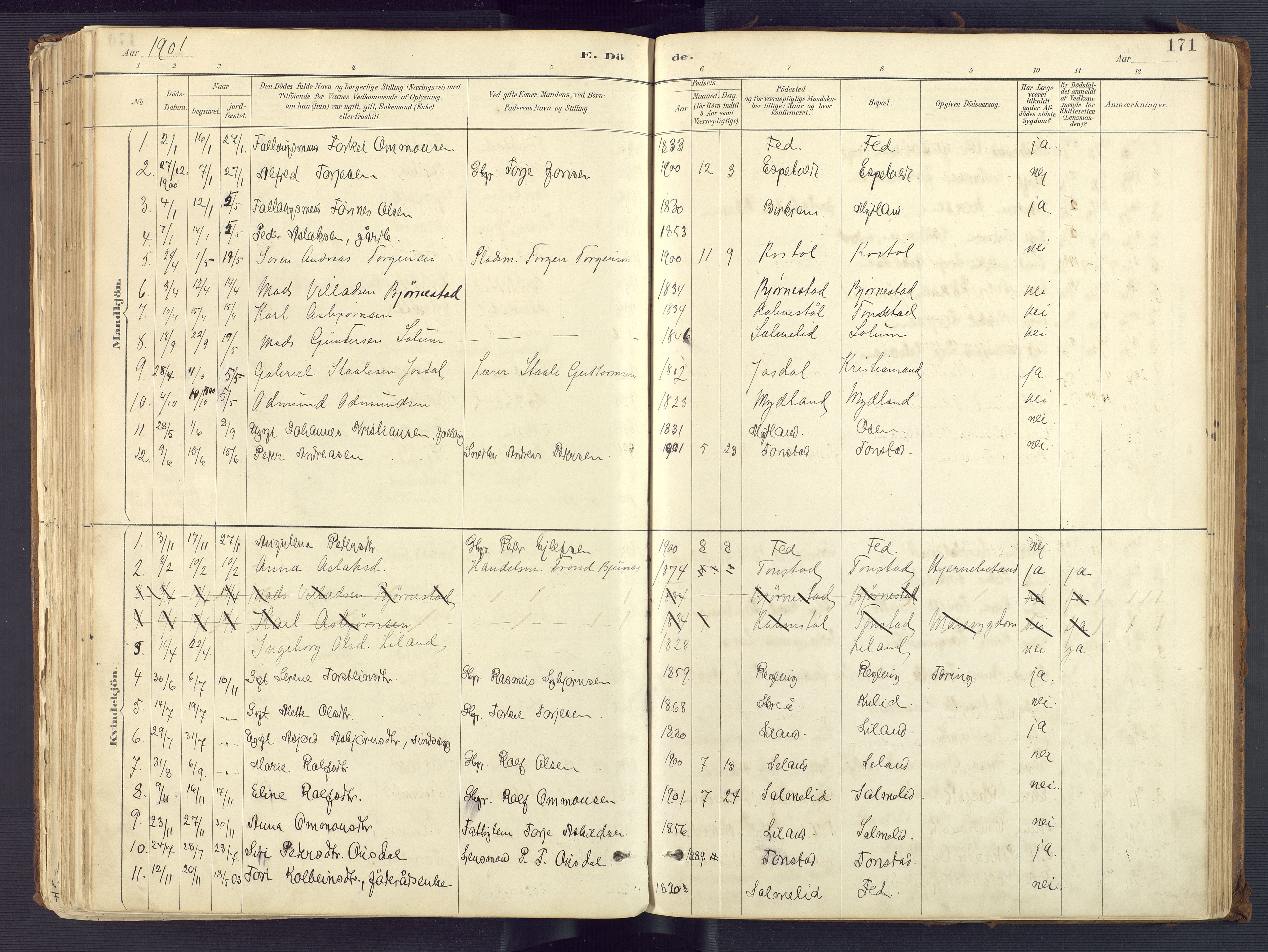 Sirdal sokneprestkontor, AV/SAK-1111-0036/F/Fa/Fab/L0004: Ministerialbok nr. A 4, 1887-1919, s. 171