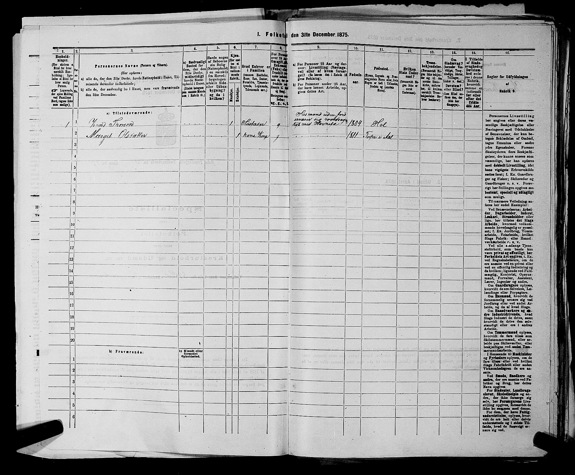 SAKO, Folketelling 1875 for 0620P Hol prestegjeld, 1875, s. 313