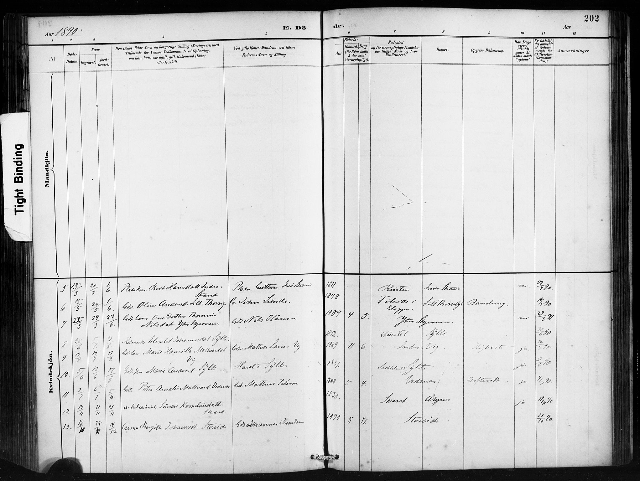 Ministerialprotokoller, klokkerbøker og fødselsregistre - Møre og Romsdal, AV/SAT-A-1454/501/L0008: Ministerialbok nr. 501A08, 1885-1901, s. 202