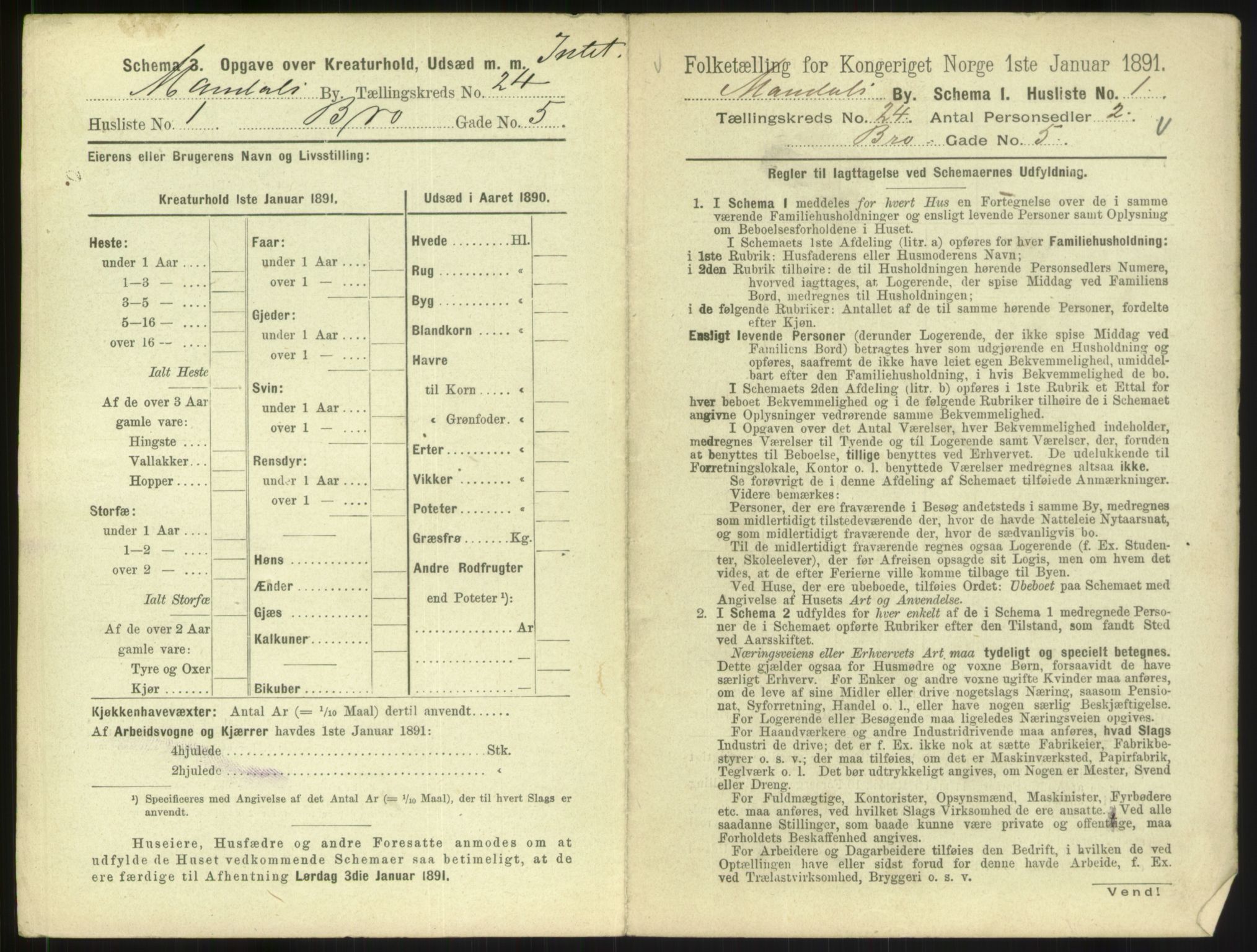 RA, Folketelling 1891 for 1002 Mandal ladested, 1891, s. 1065