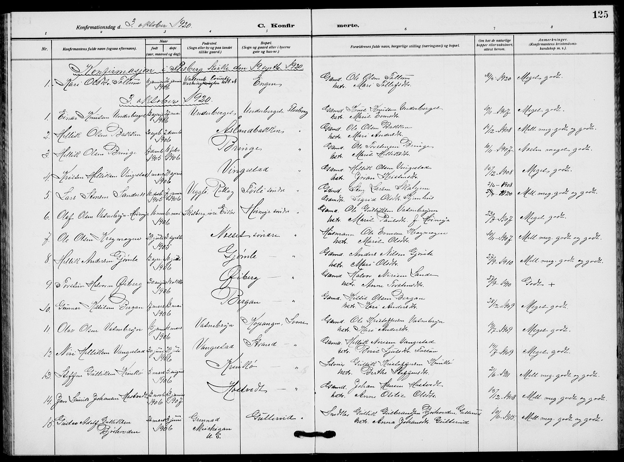 Flesberg kirkebøker, AV/SAKO-A-18/G/Ga/L0006: Klokkerbok nr. I 6, 1909-1924, s. 125