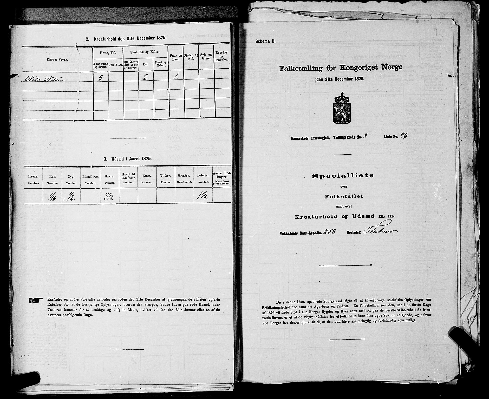 RA, Folketelling 1875 for 0238P Nannestad prestegjeld, 1875, s. 557