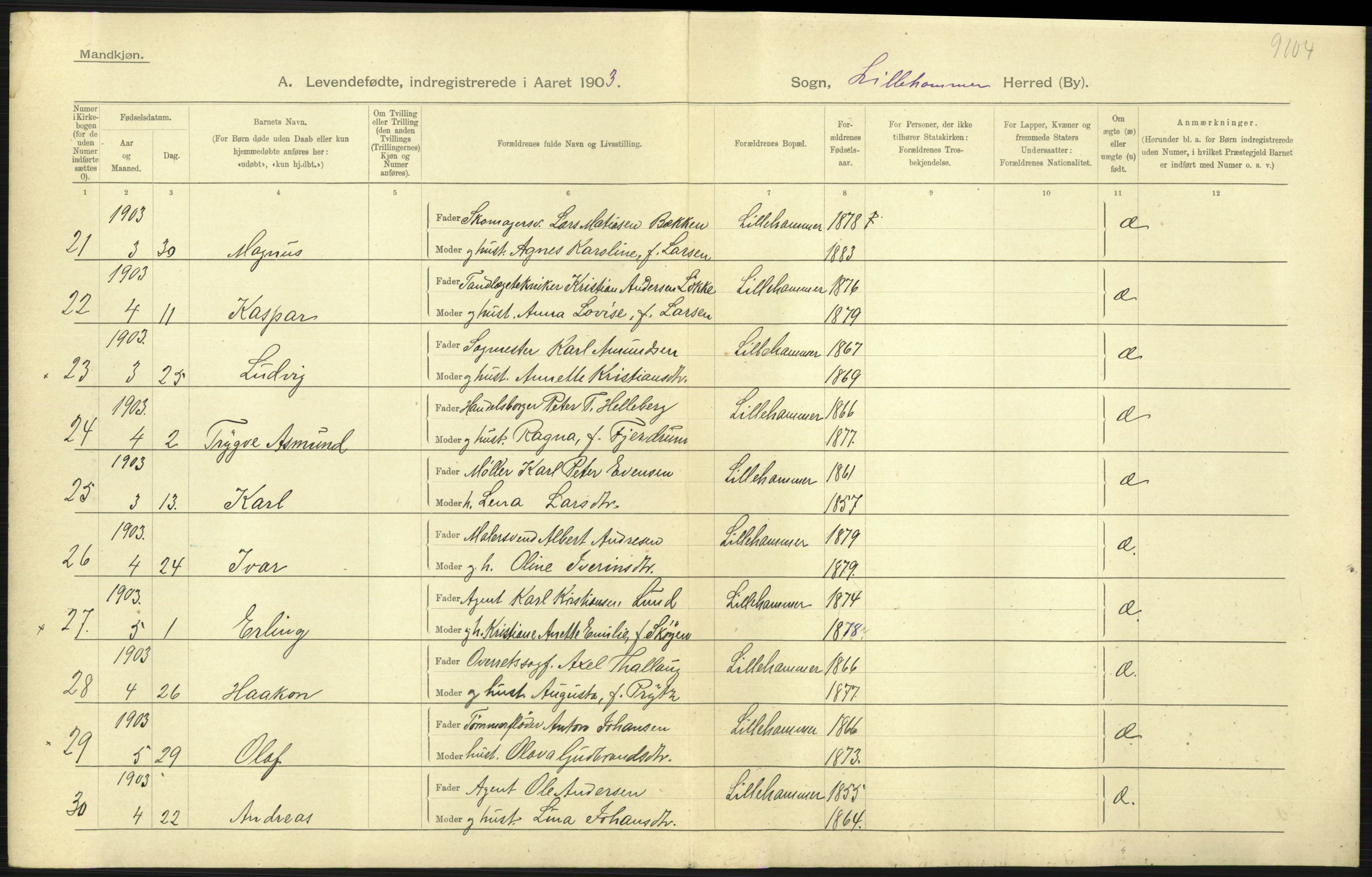 Statistisk sentralbyrå, Sosiodemografiske emner, Befolkning, AV/RA-S-2228/D/Df/Dfa/Dfaa/L0006: Kristians amt: Fødte, gifte, døde, 1903, s. 409