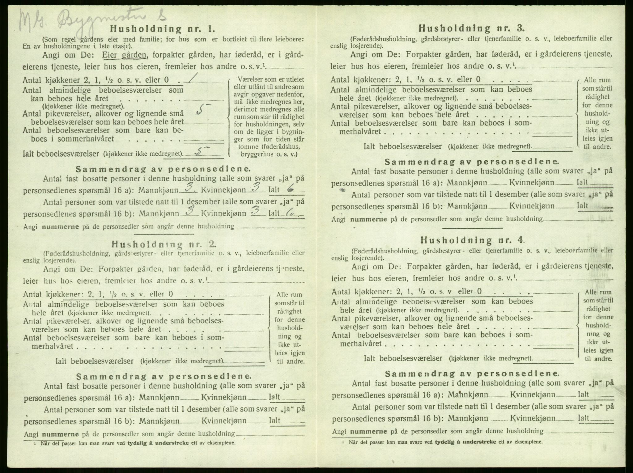 SAKO, Folketelling 1920 for 0724 Sandeherred herred, 1920, s. 1163