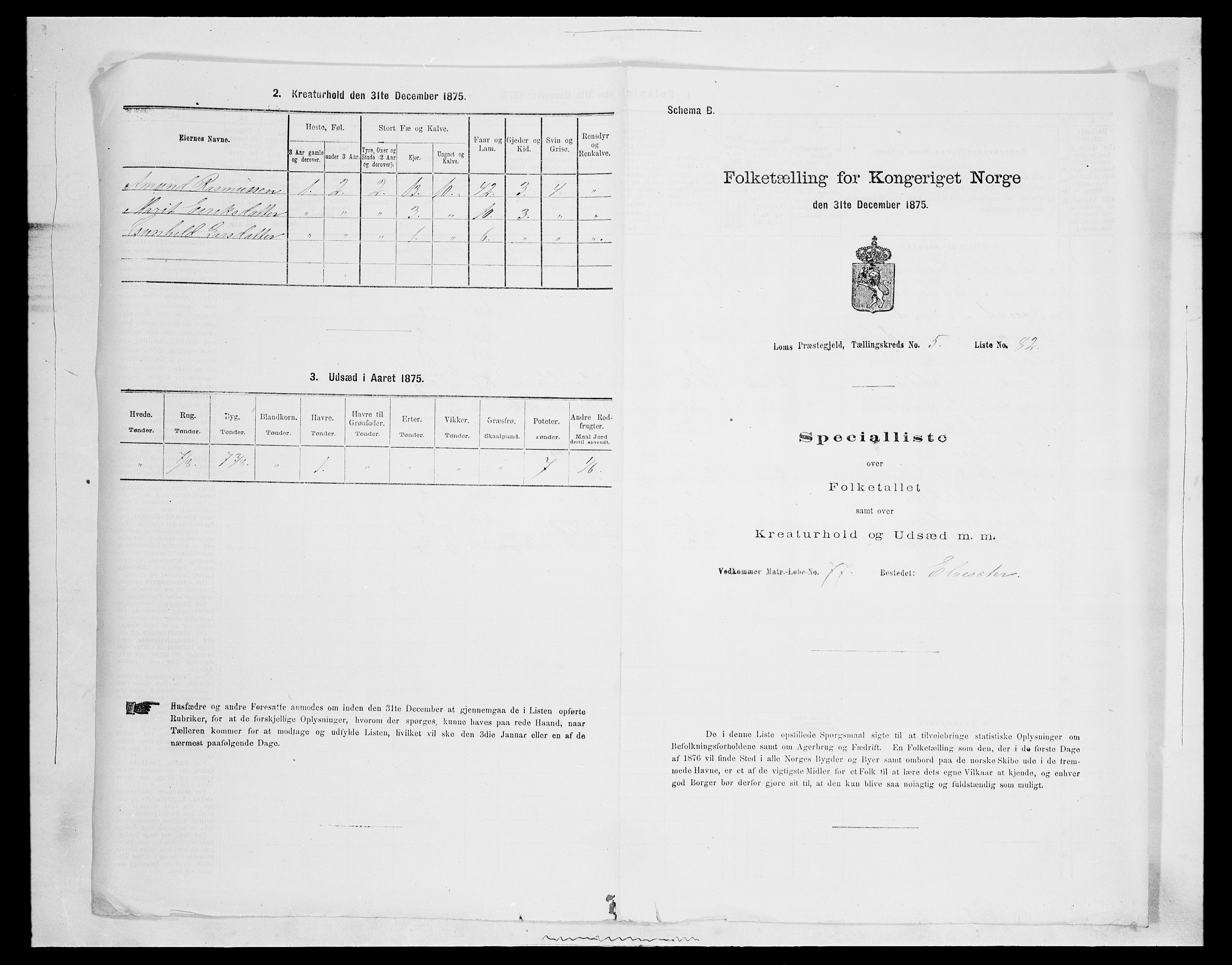 SAH, Folketelling 1875 for 0514P Lom prestegjeld, 1875, s. 905