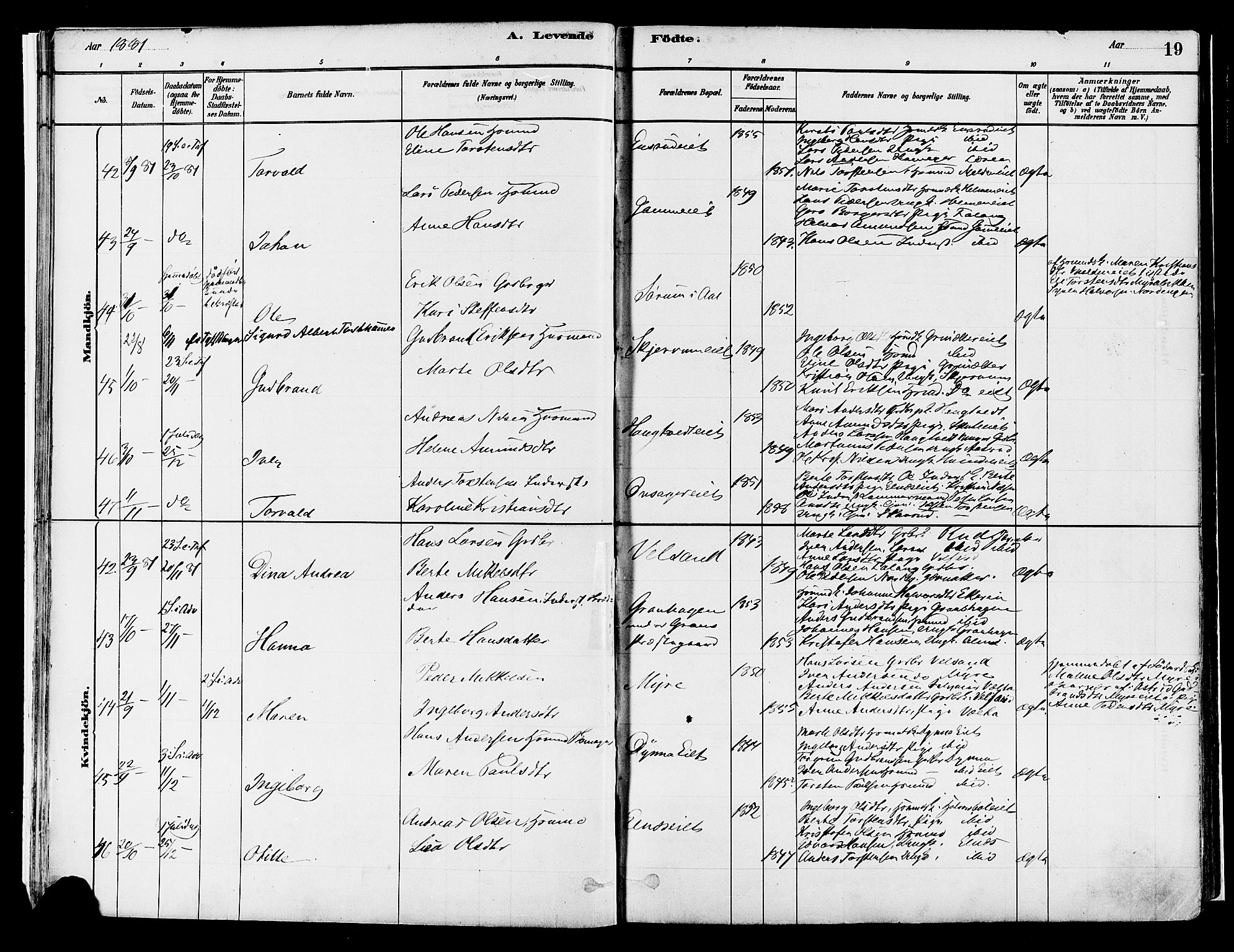 Gran prestekontor, AV/SAH-PREST-112/H/Ha/Haa/L0014: Ministerialbok nr. 14, 1880-1889, s. 19