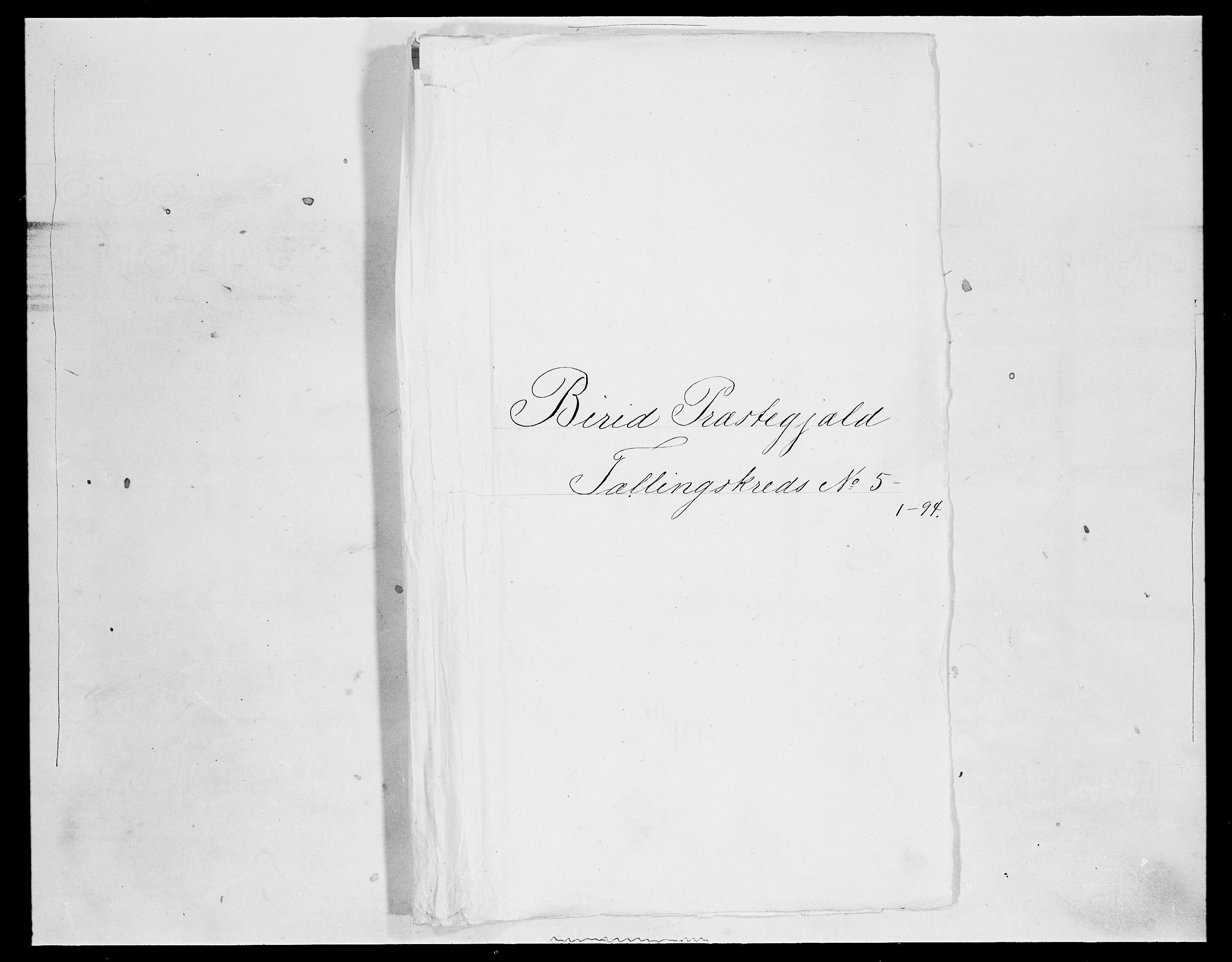 SAH, Folketelling 1875 for 0525P Biri prestegjeld, 1875, s. 942