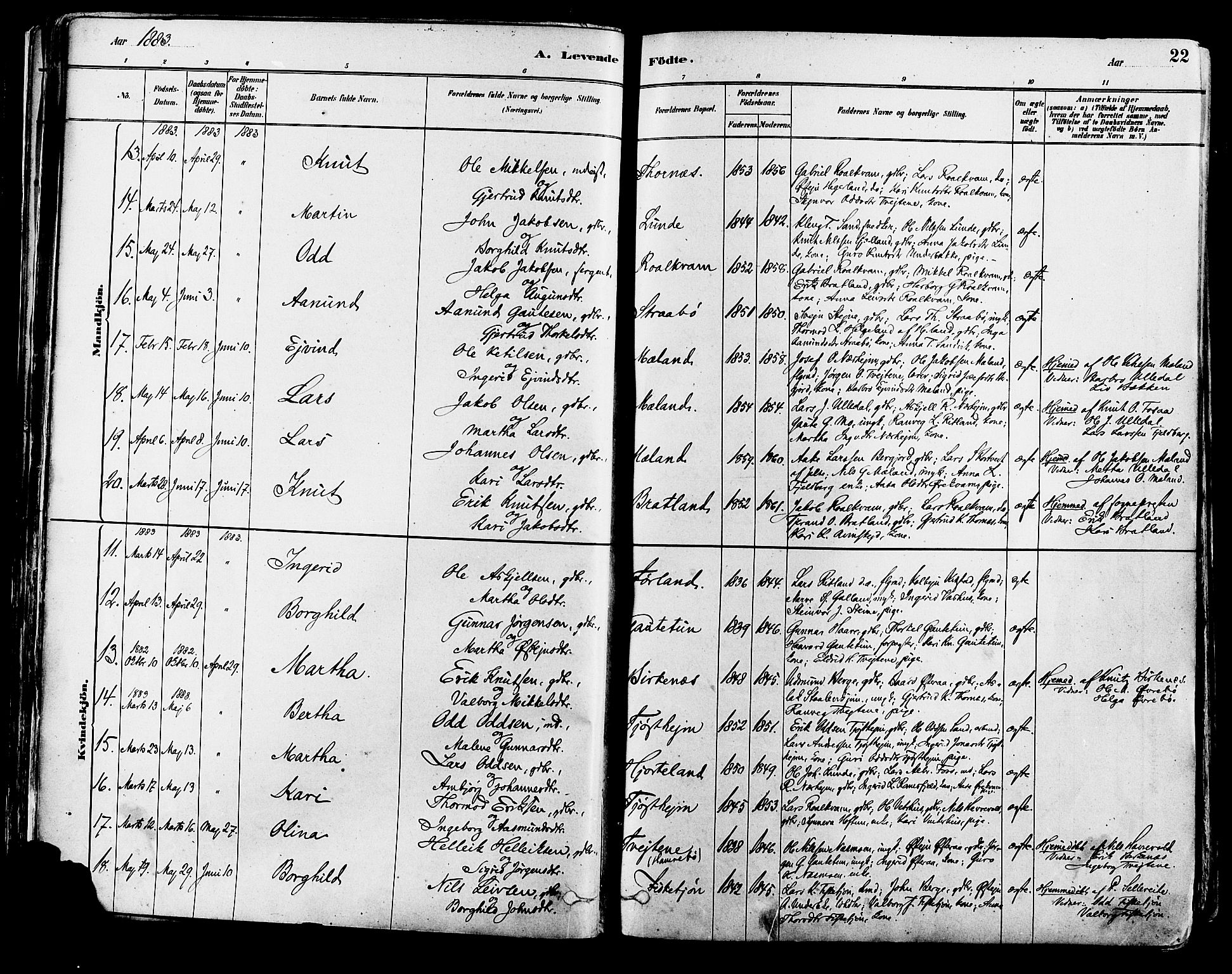 Suldal sokneprestkontor, AV/SAST-A-101845/01/IV/L0011: Ministerialbok nr. A 11, 1878-1900, s. 22