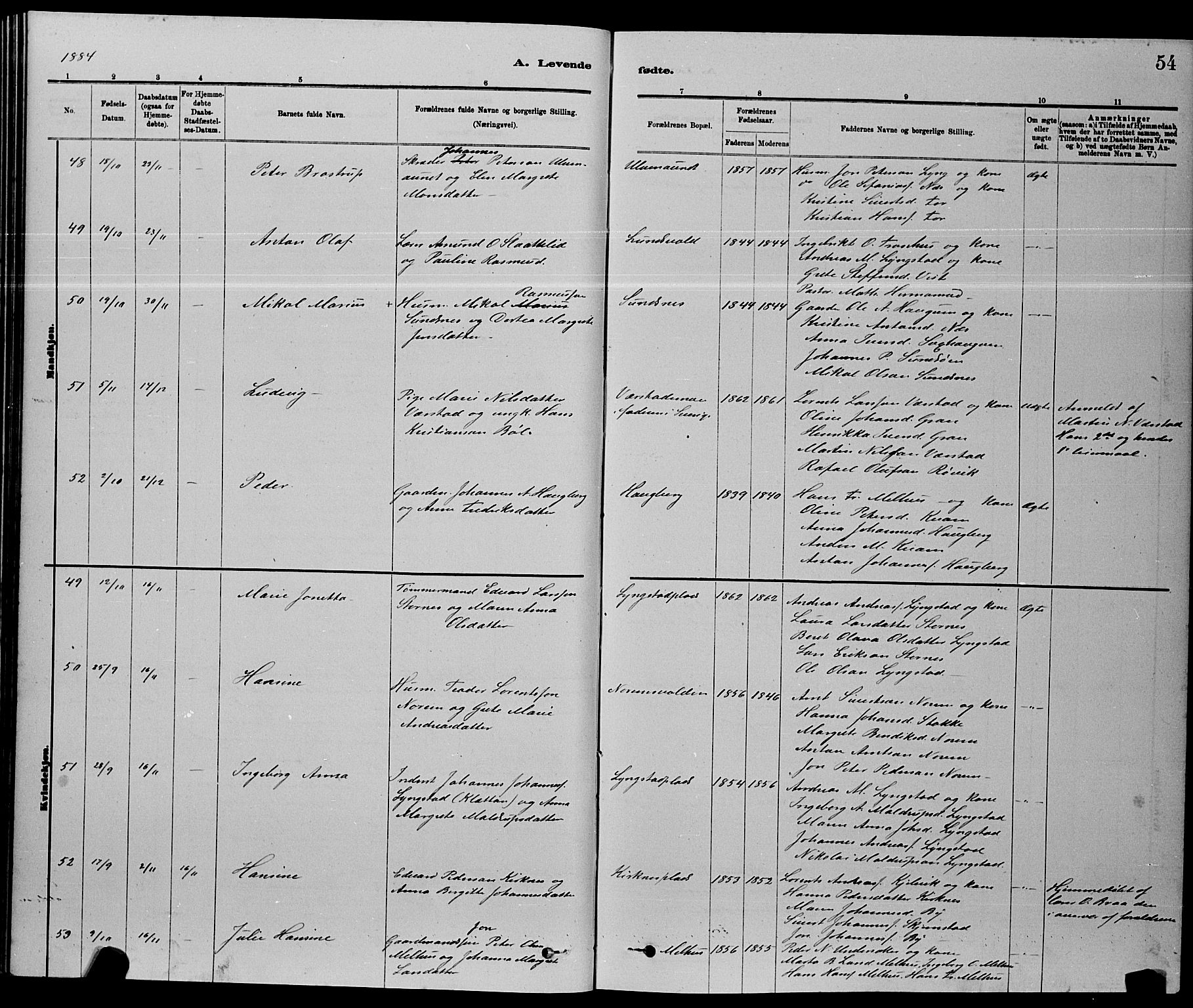 Ministerialprotokoller, klokkerbøker og fødselsregistre - Nord-Trøndelag, SAT/A-1458/730/L0301: Klokkerbok nr. 730C04, 1880-1897, s. 54