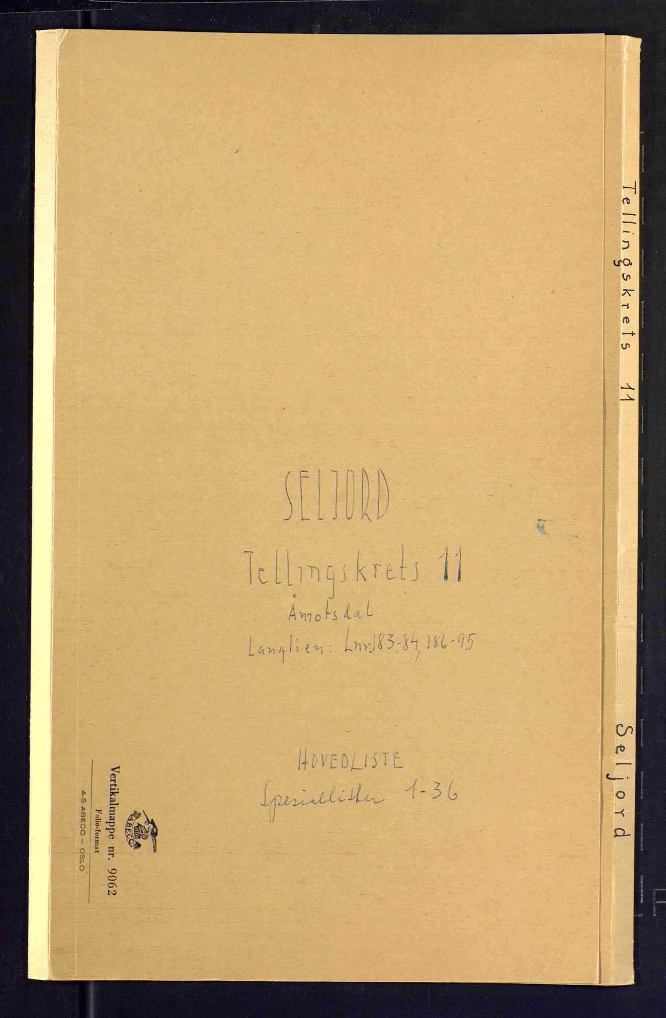 SAKO, Folketelling 1875 for 0828P Seljord prestegjeld, 1875, s. 45