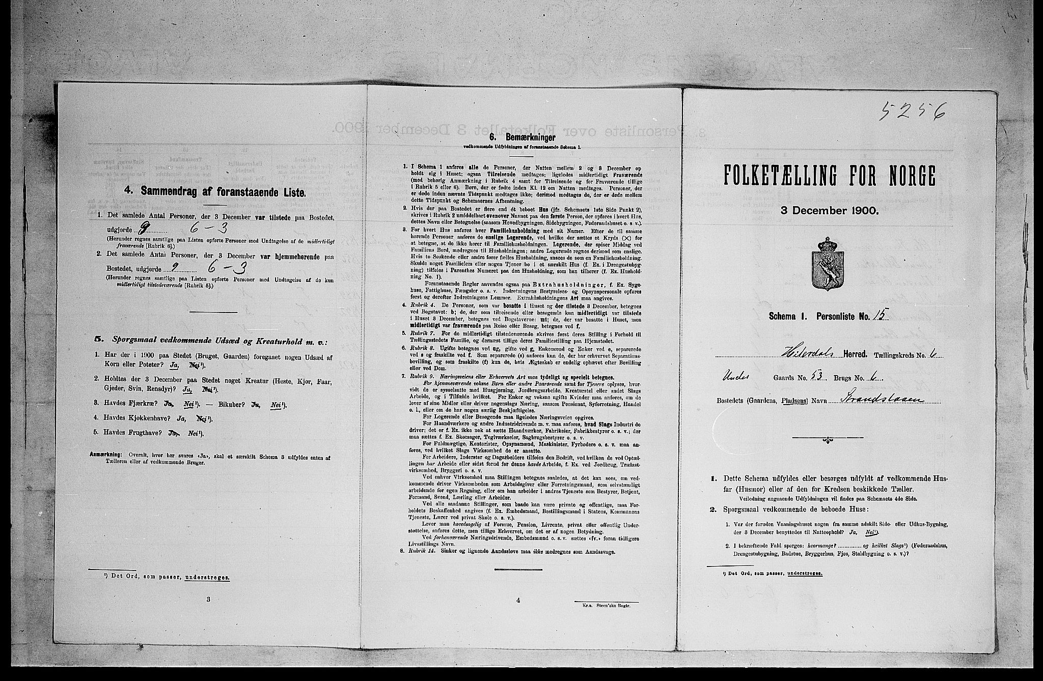 SAKO, Folketelling 1900 for 0823 Heddal herred, 1900, s. 872