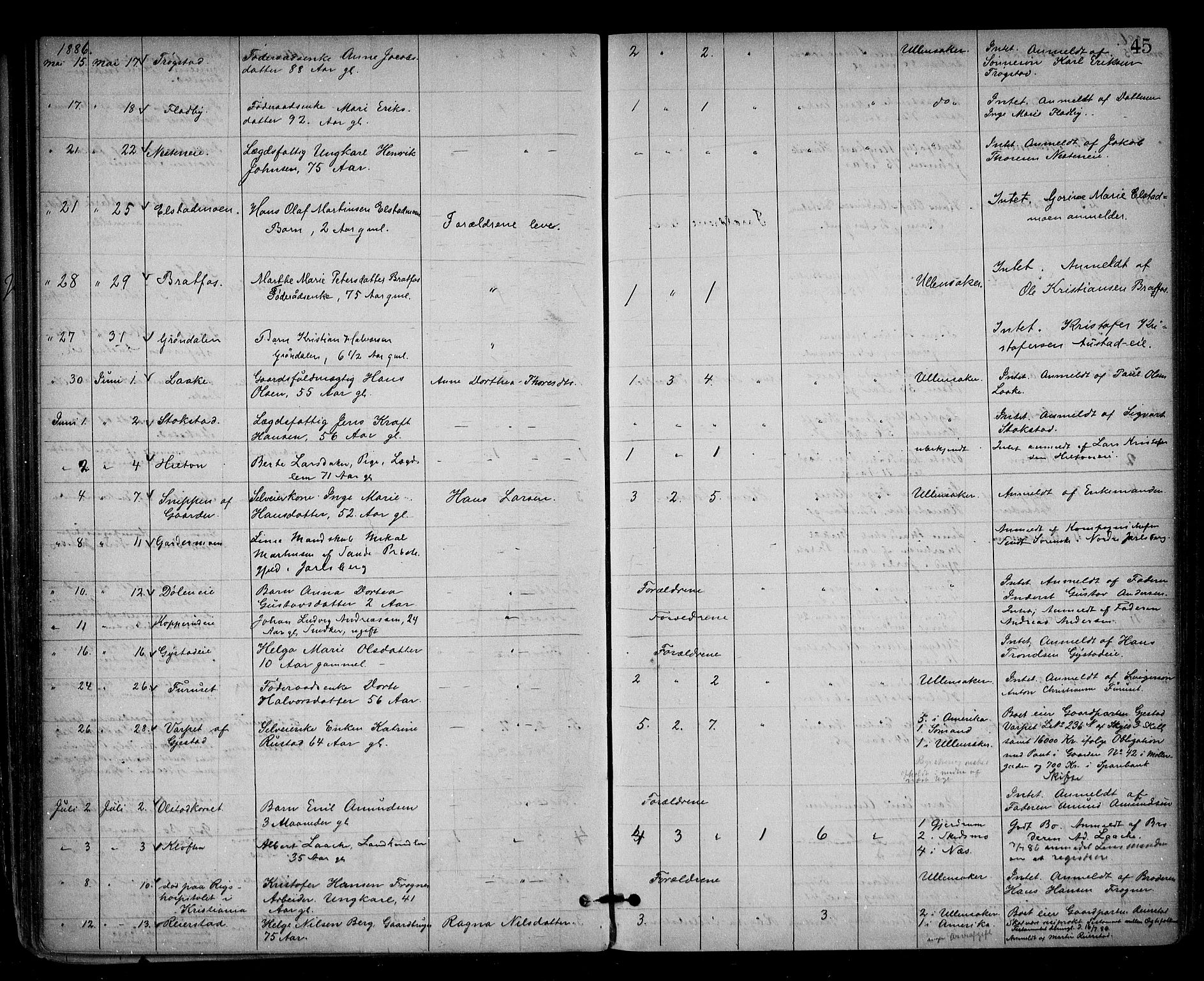 Nes tingrett, AV/SAO-A-10548/H/Ha/Haa/L0001: Dødsfallsprotokoll, 1876-1905, s. 45