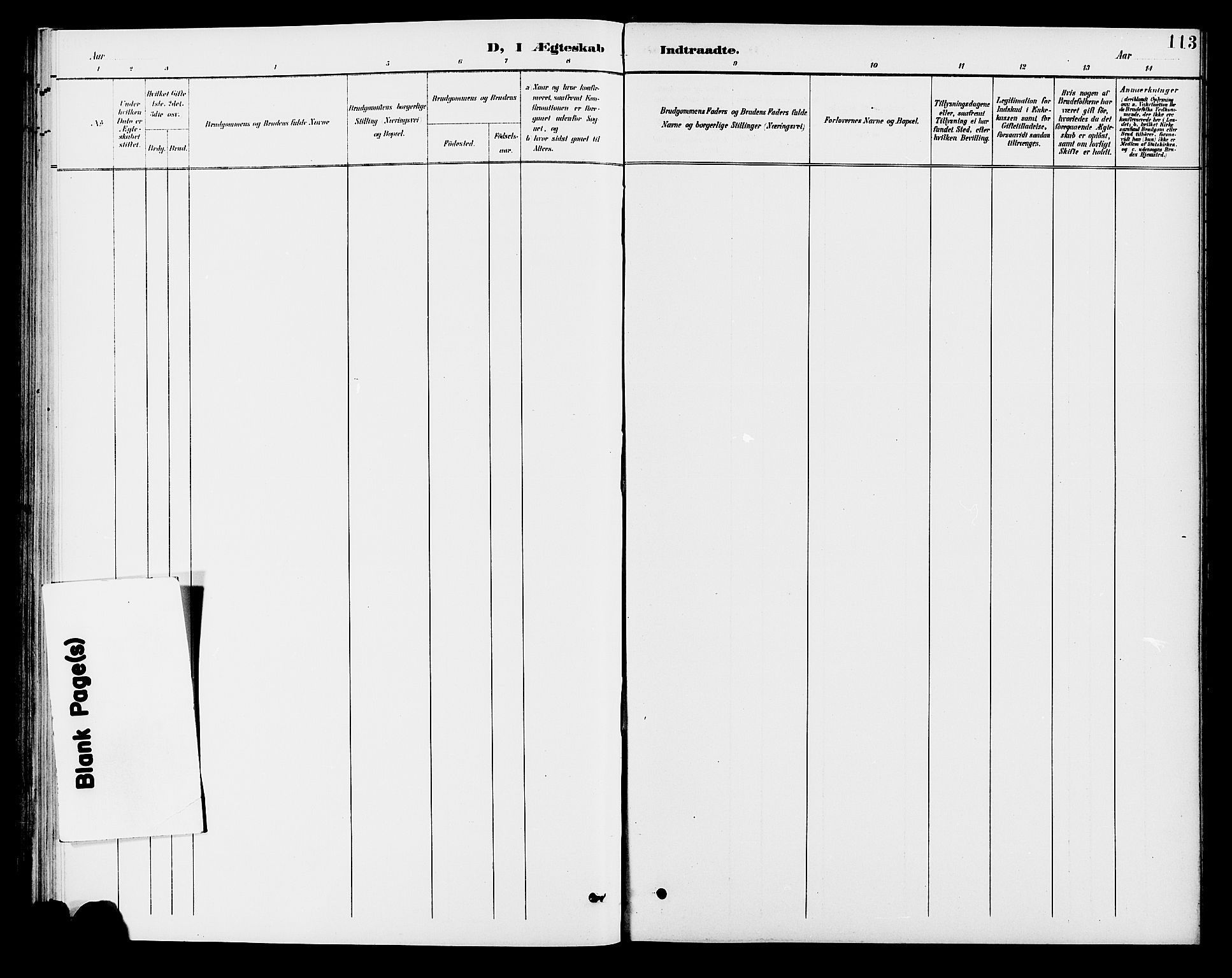 Brandval prestekontor, SAH/PREST-034/H/Ha/Hab/L0001: Klokkerbok nr. 1, 1895-1910, s. 113