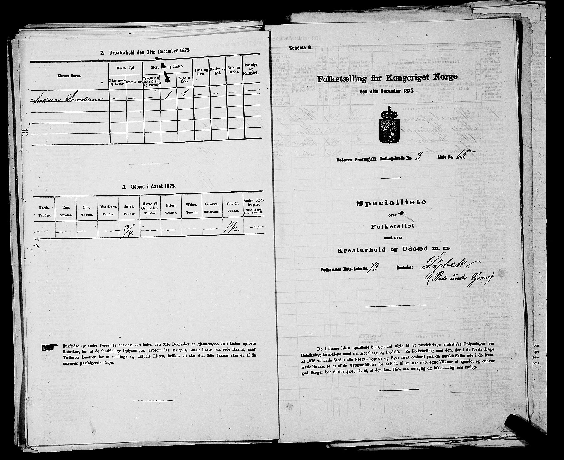 RA, Folketelling 1875 for 0120P Rødenes prestegjeld, 1875, s. 493