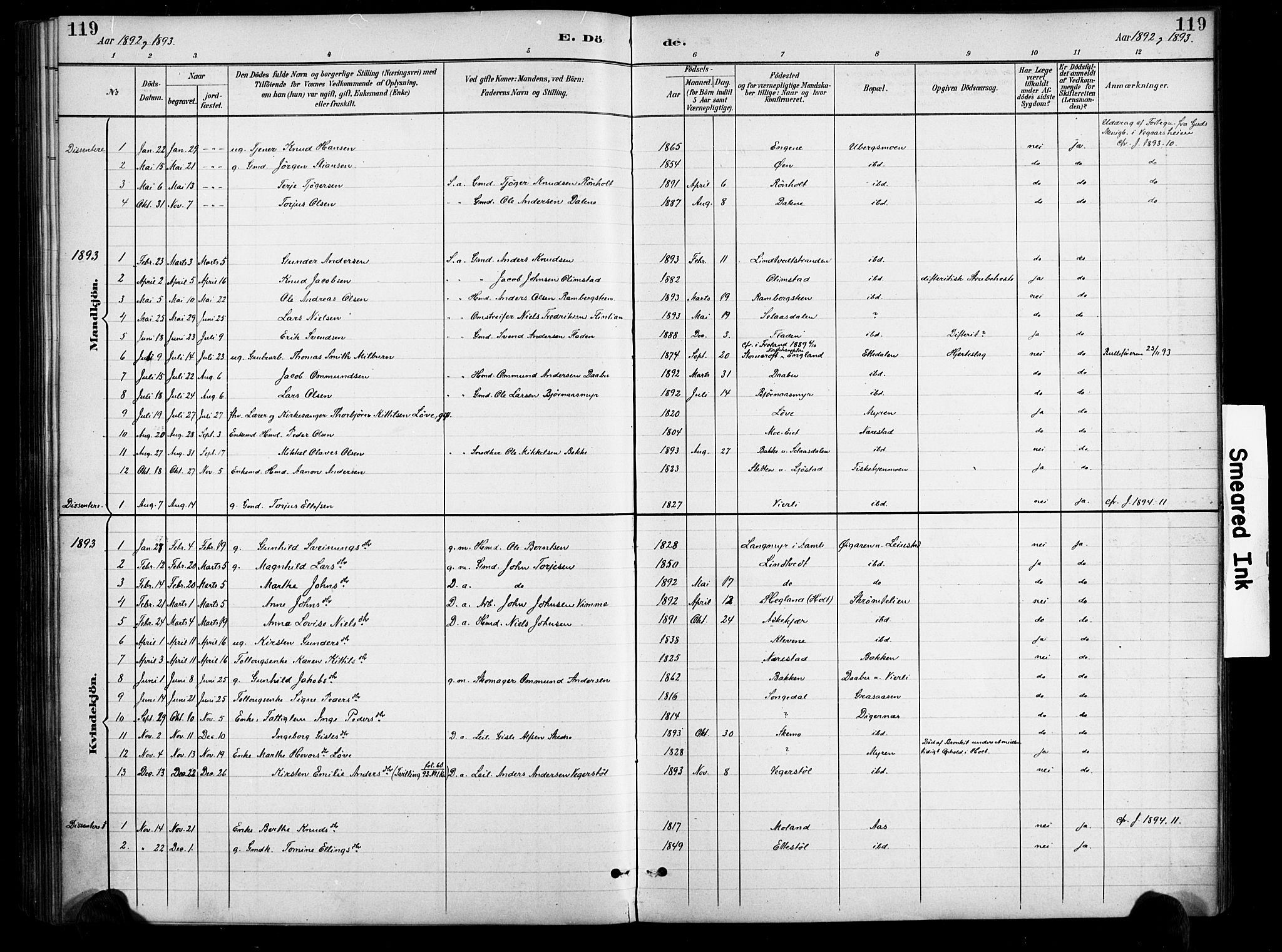 Gjerstad sokneprestkontor, AV/SAK-1111-0014/F/Fa/Fab/L0005: Ministerialbok nr. A 5, 1891-1908, s. 119