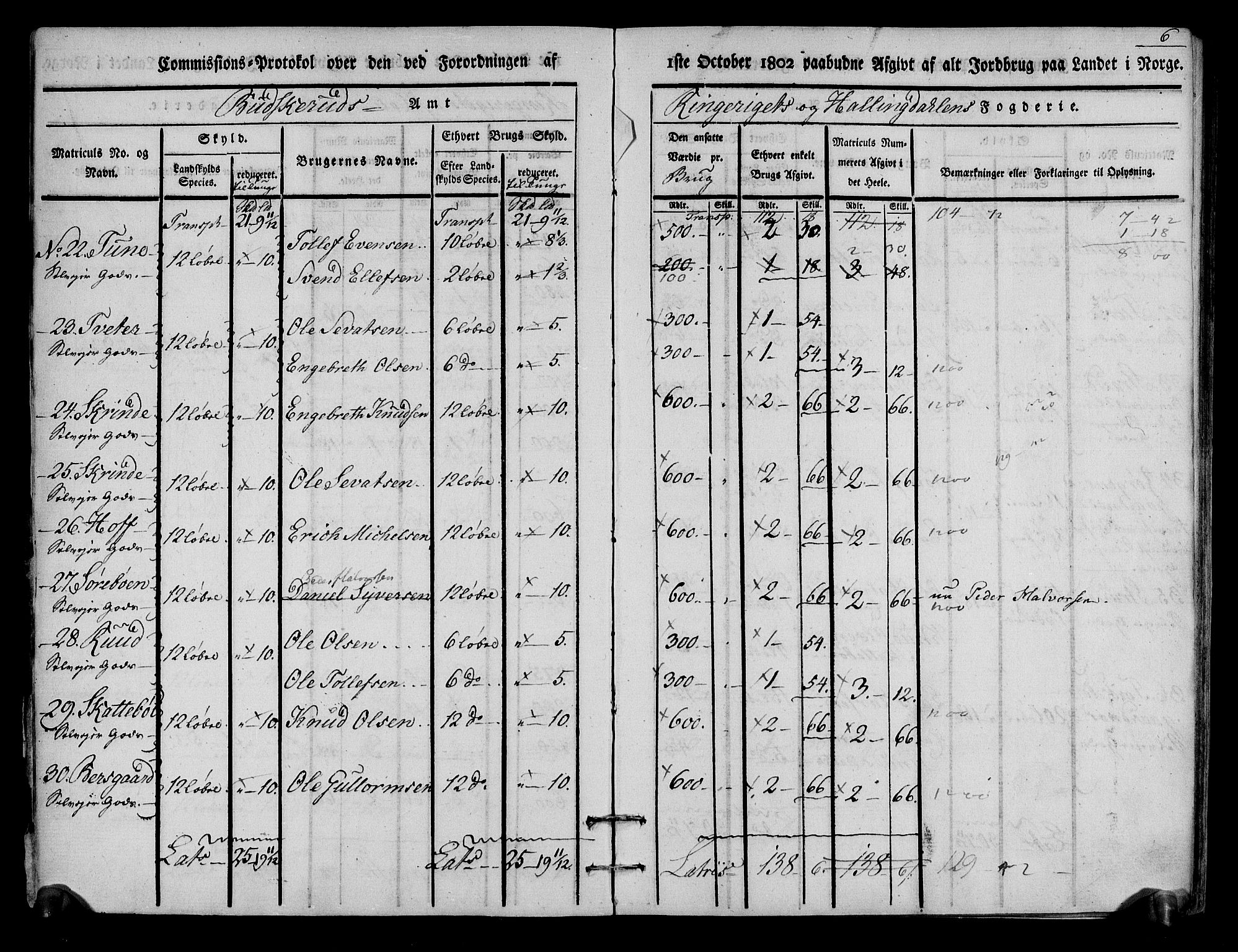 Rentekammeret inntil 1814, Realistisk ordnet avdeling, AV/RA-EA-4070/N/Ne/Nea/L0048: Ringerike og Hallingdal fogderi. Kommisjonsprotokoll for Ål prestegjeld, 1803, s. 7