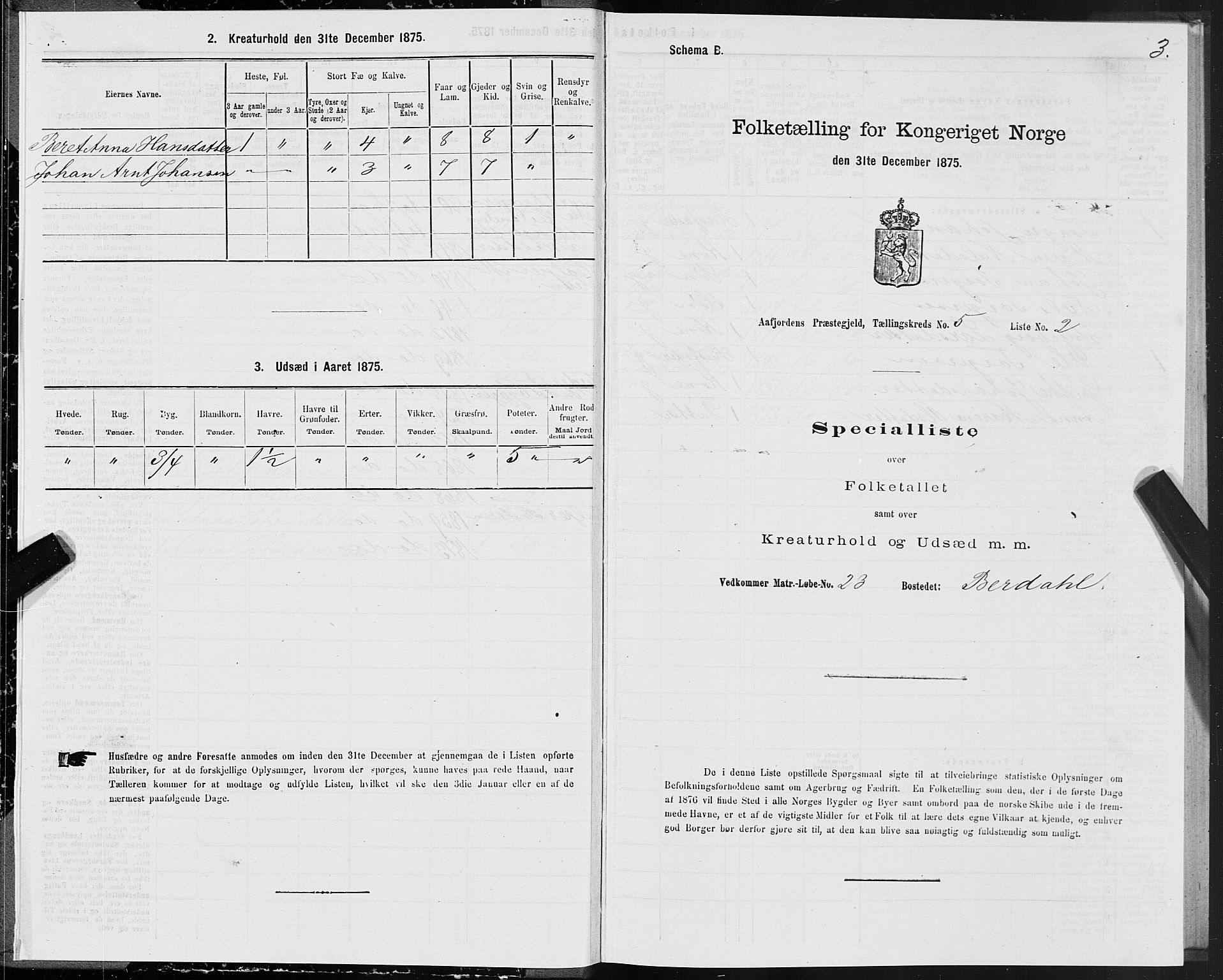 SAT, Folketelling 1875 for 1630P Aafjorden prestegjeld, 1875, s. 3003