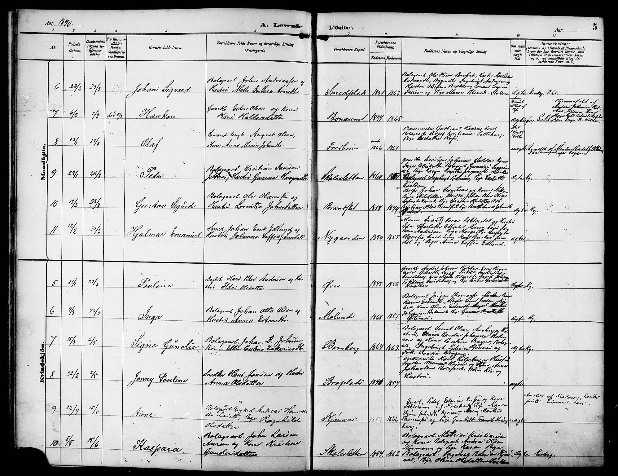 Ministerialprotokoller, klokkerbøker og fødselsregistre - Sør-Trøndelag, SAT/A-1456/617/L0431: Klokkerbok nr. 617C01, 1889-1910, s. 5
