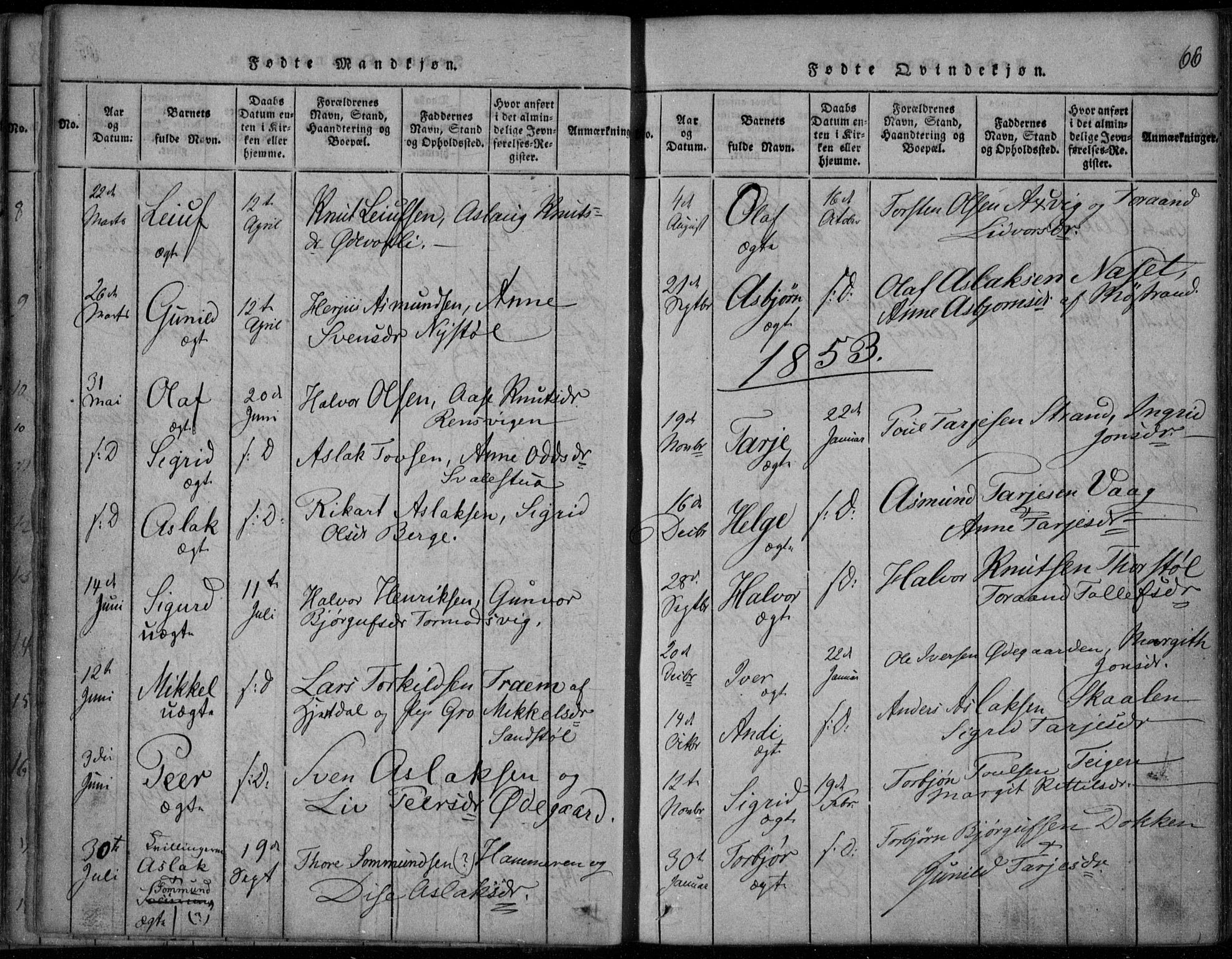 Rauland kirkebøker, AV/SAKO-A-292/F/Fa/L0001: Ministerialbok nr. I 1, 1814-1859, s. 66