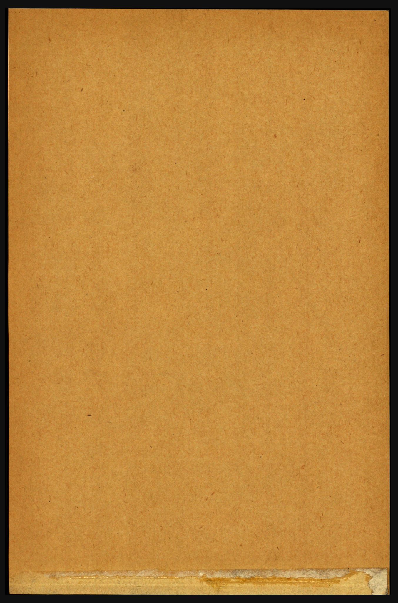 RA, Folketelling 1891 for 1716 Åsen herred, 1891, s. 1938