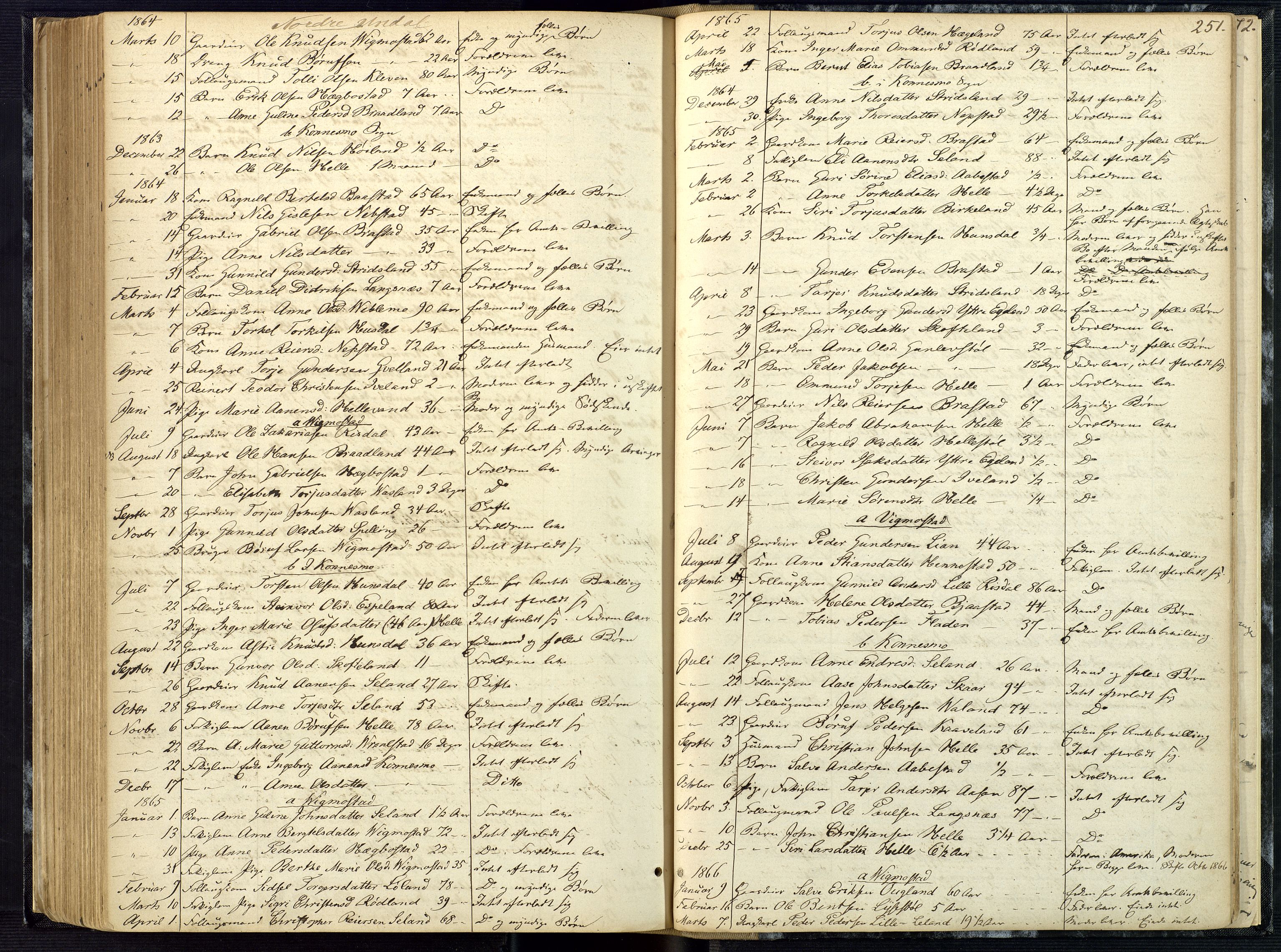 Mandal sorenskriveri, AV/SAK-1221-0005/001/H/Ha/L0001: Dødsfall hele sorenskriveriet nr A1, 1862-1901, s. 250b-251a