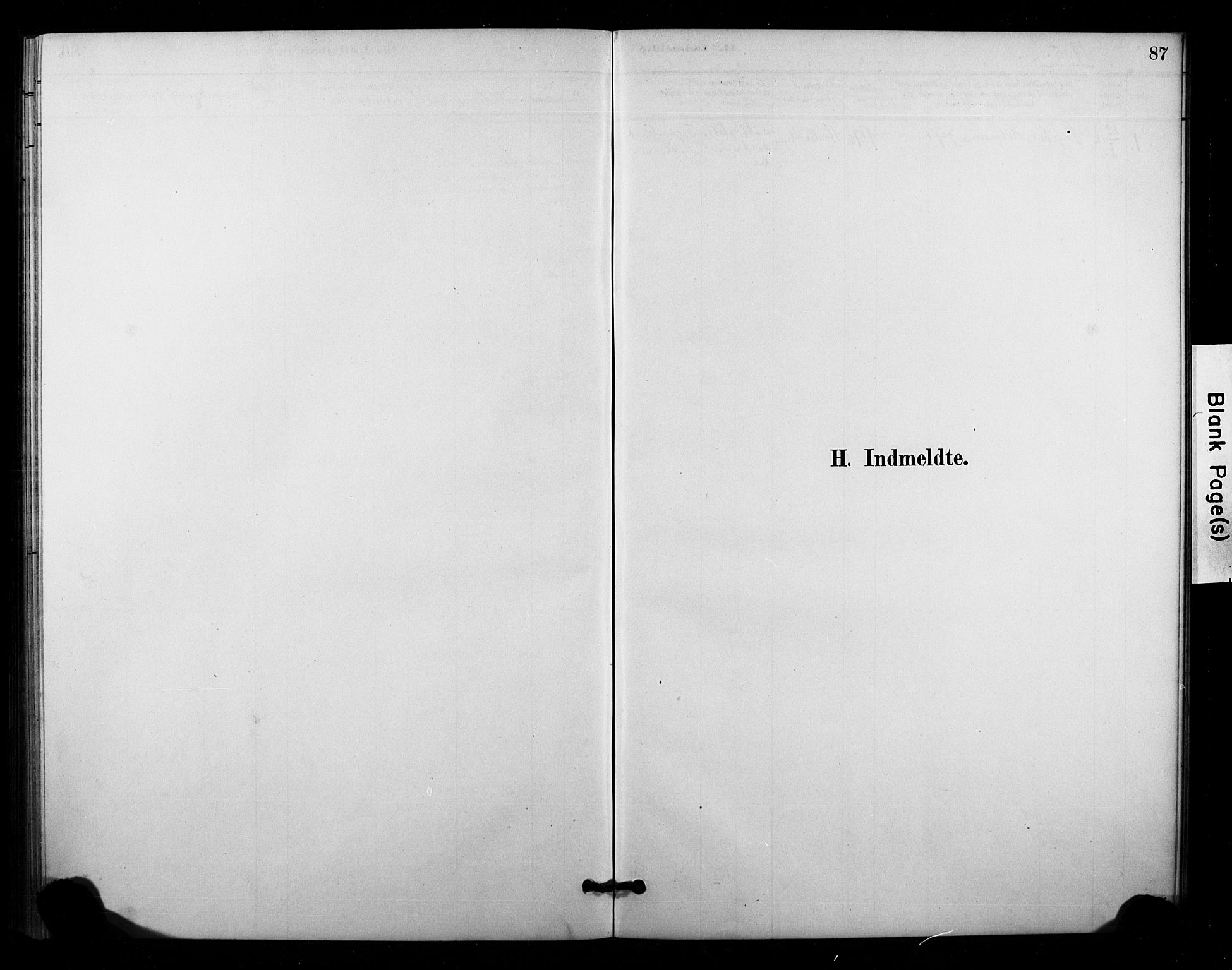 Lardal kirkebøker, SAKO/A-350/F/Fc/L0001: Ministerialbok nr. III 1, 1881-1906, s. 87