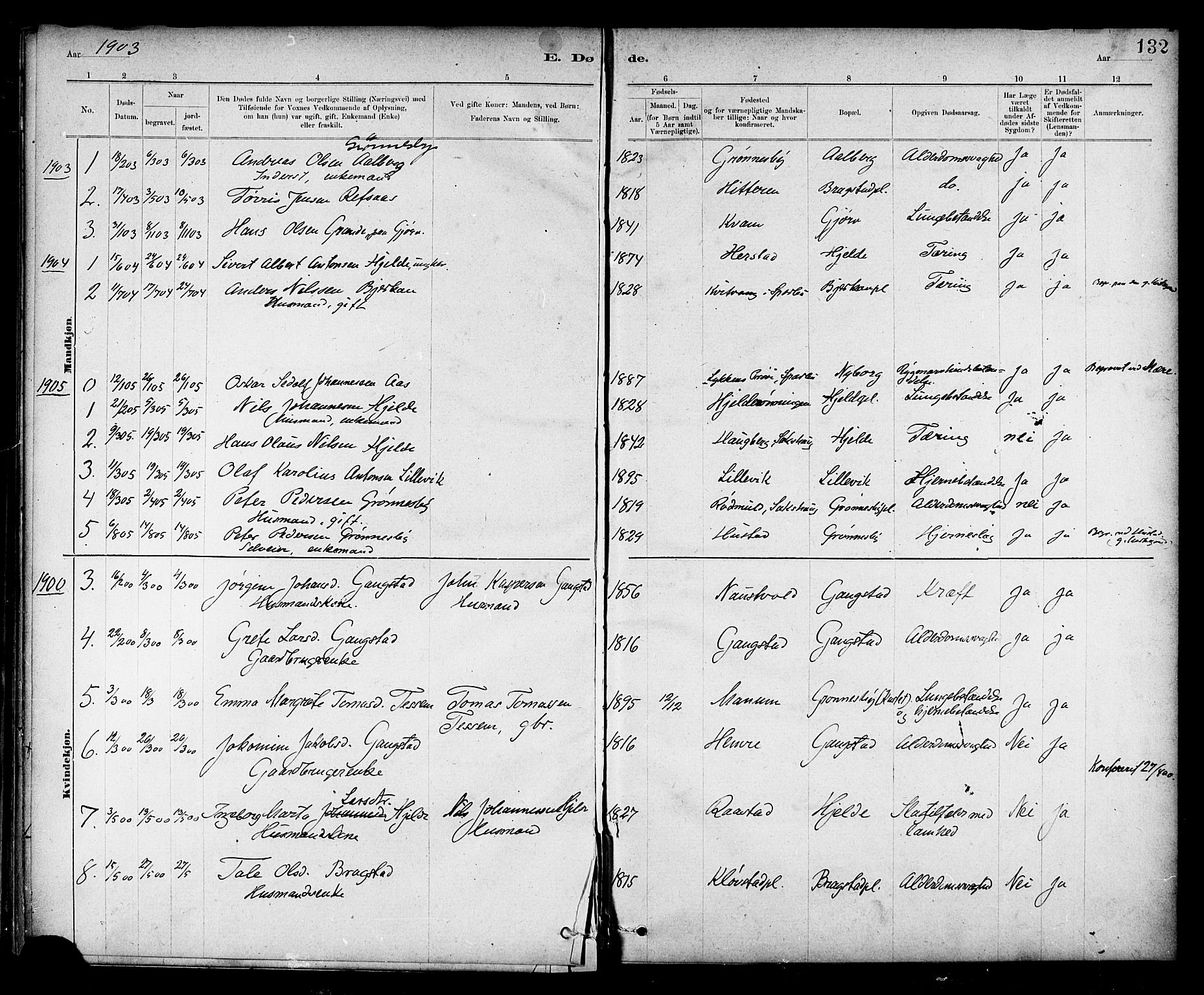 Ministerialprotokoller, klokkerbøker og fødselsregistre - Nord-Trøndelag, SAT/A-1458/732/L0318: Klokkerbok nr. 732C02, 1881-1911, s. 132