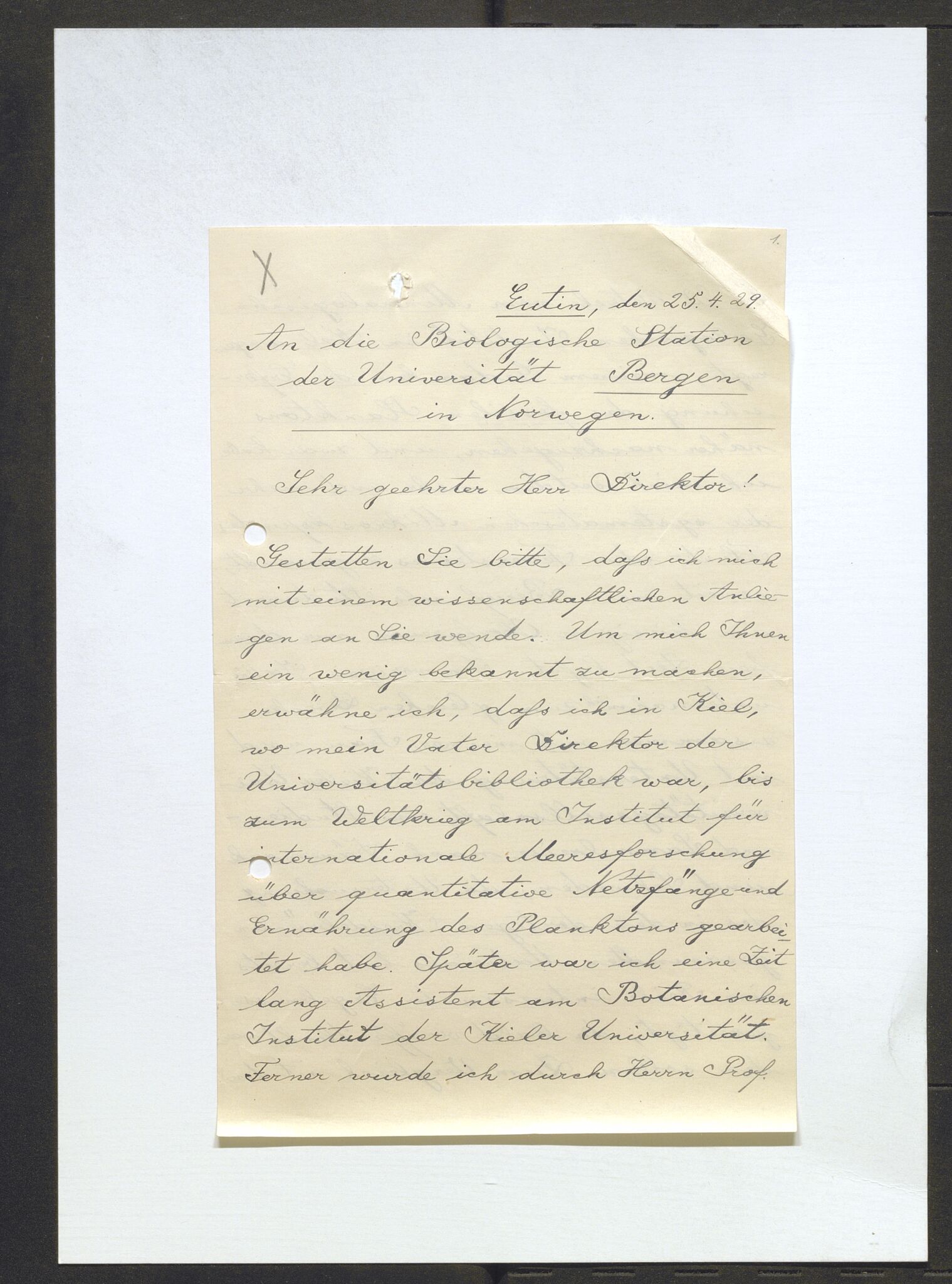 Bergens Museum, AV/SAB-A-17301/13/D/L0002: Korrespondanse , 1928-1940, s. 298