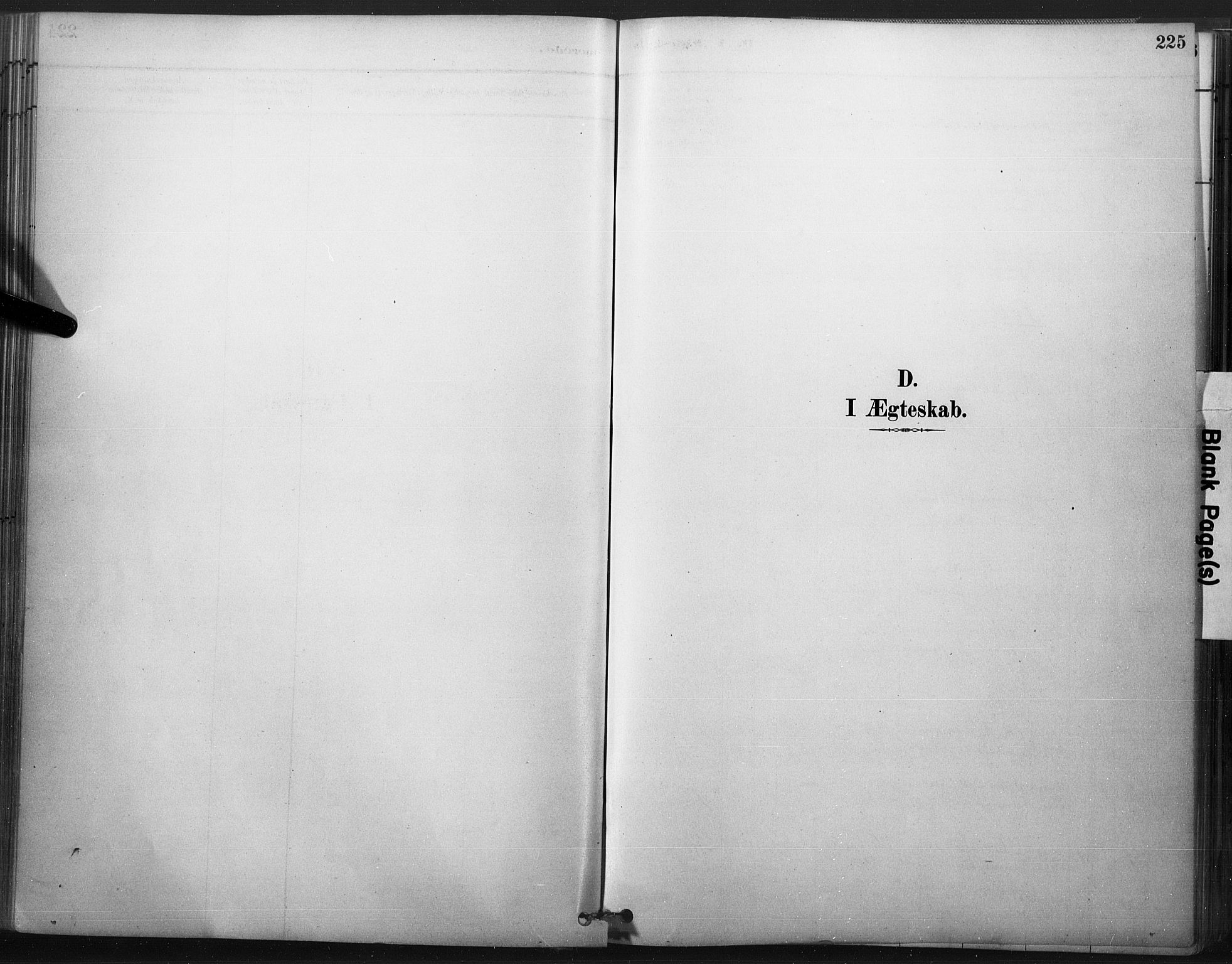 Åmli sokneprestkontor, SAK/1111-0050/F/Fa/Fac/L0010: Ministerialbok nr. A 10 /2, 1885-1899, s. 225