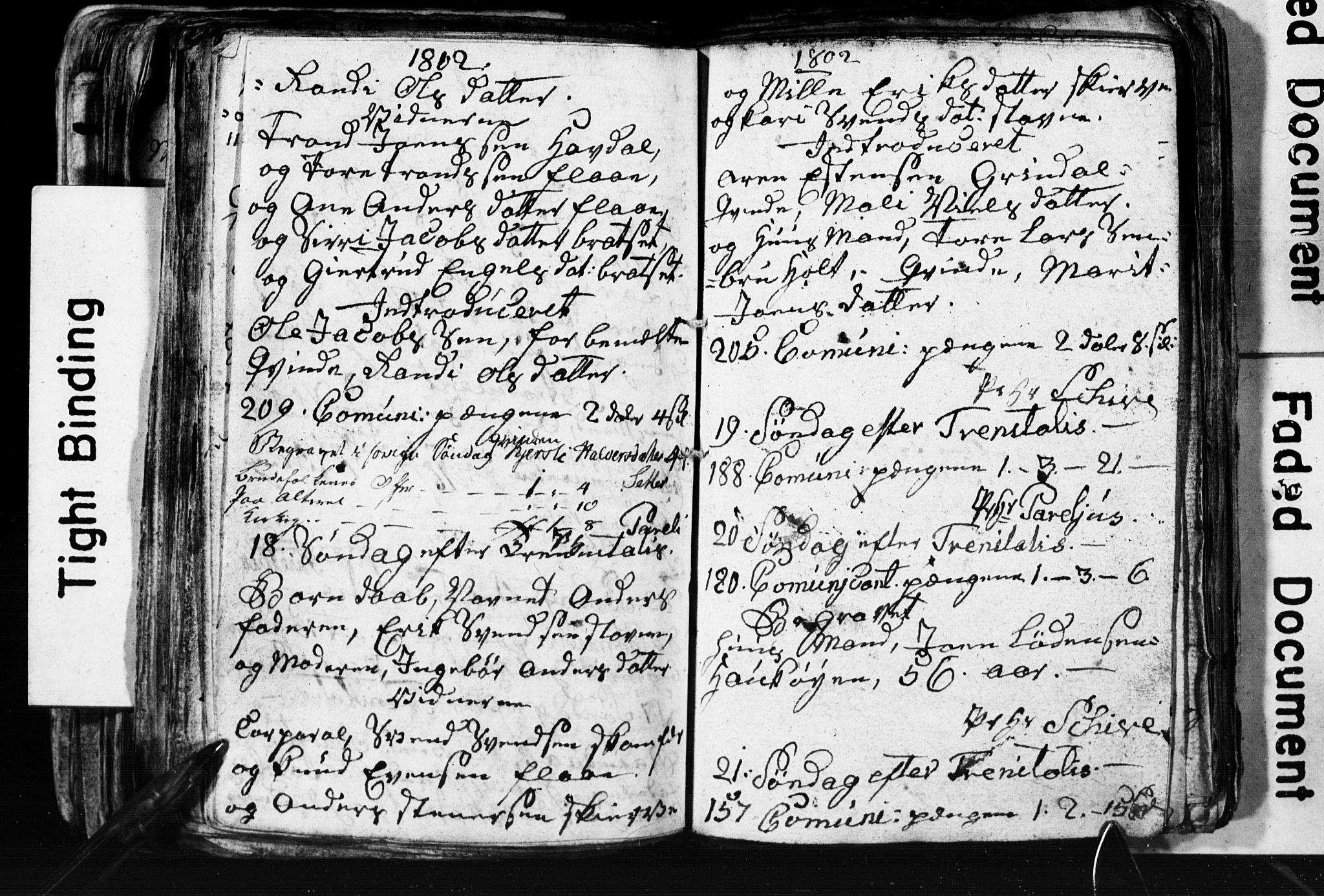 Ministerialprotokoller, klokkerbøker og fødselsregistre - Sør-Trøndelag, AV/SAT-A-1456/674/L0880: Klokkerbok nr. 674C07, 1795-1807